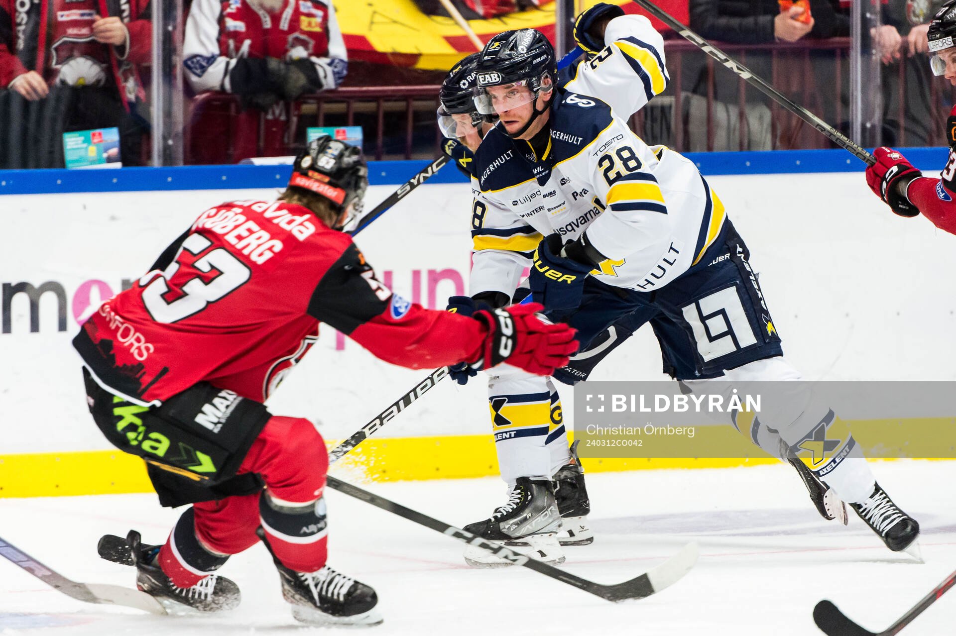HV71s Joonas Nättinen och Malmö Redhawks Albert Sjöberg