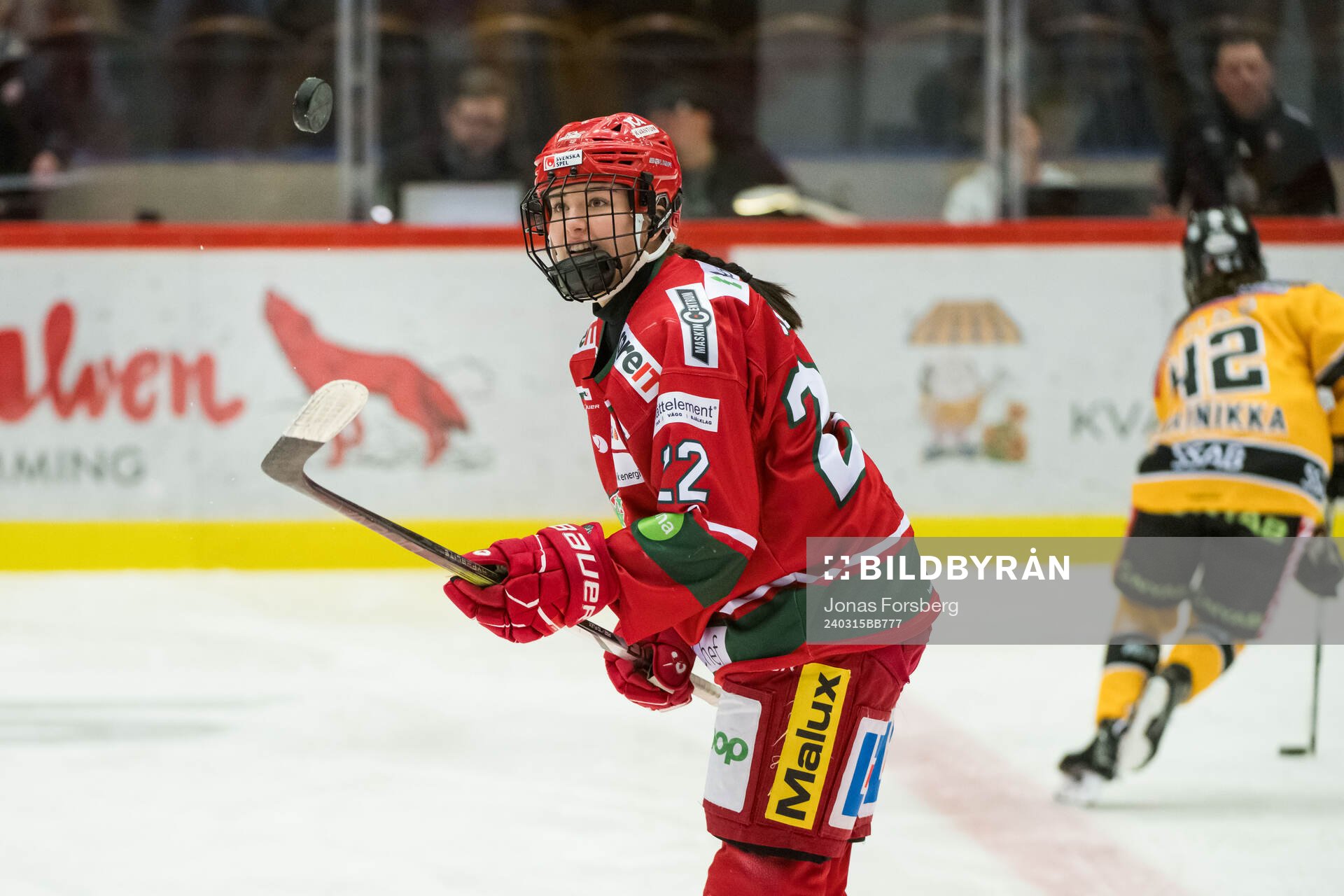 Modos Taylor House innan final ett i SDHL mellan Modo och