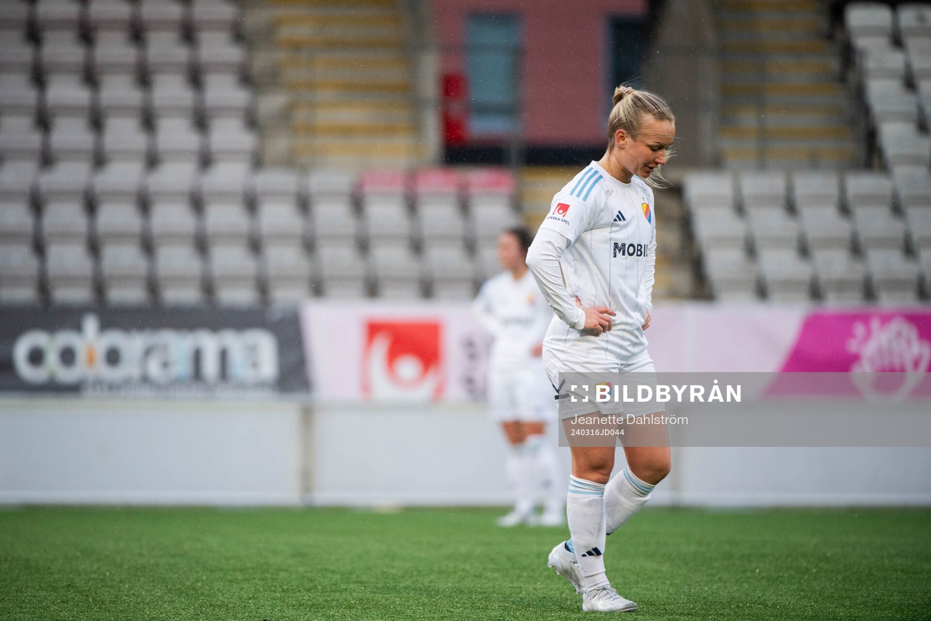 Djurgårdens deppar