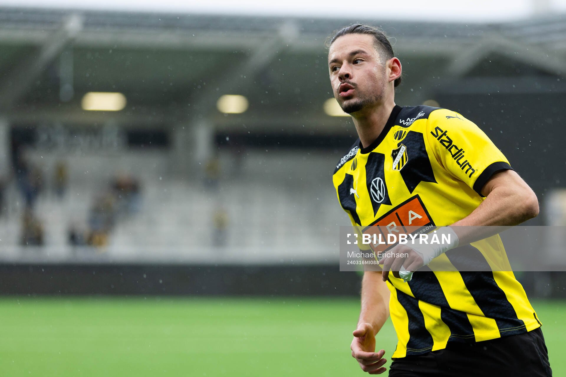 Häckens Amor Layouni