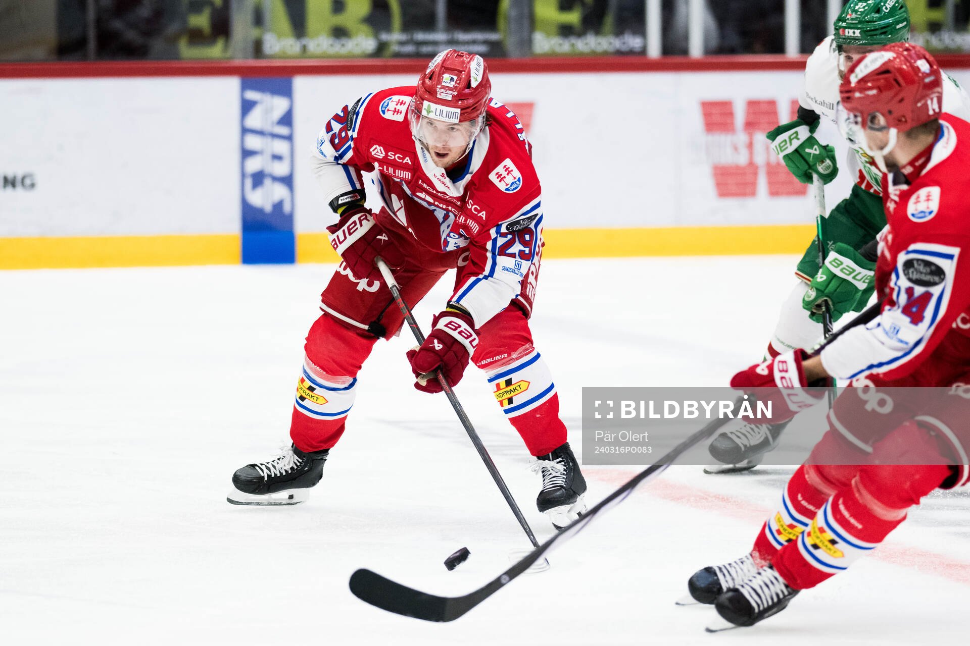 Timrås Filip Hållander