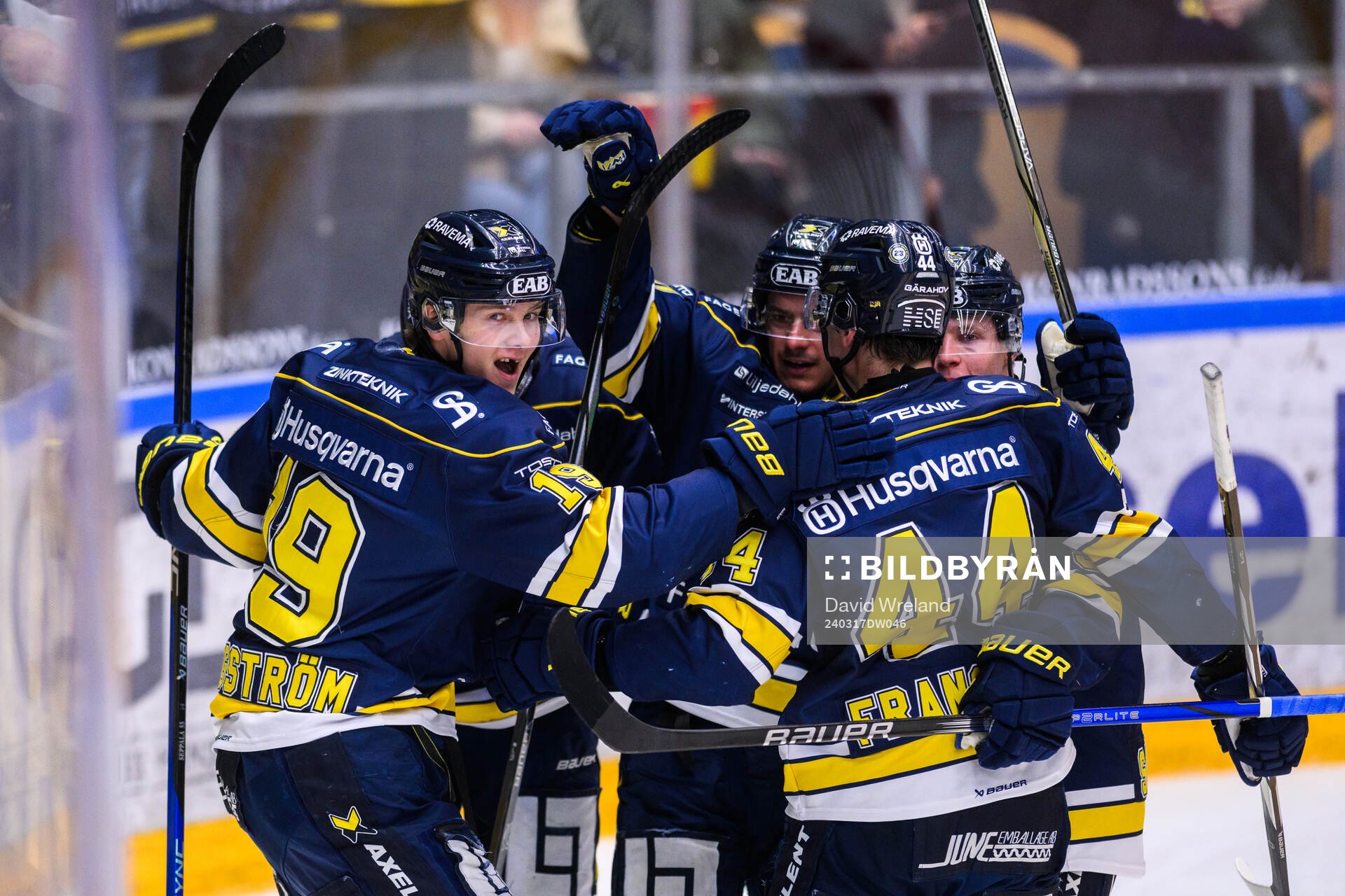 HV71s Henrik Borgström jublar