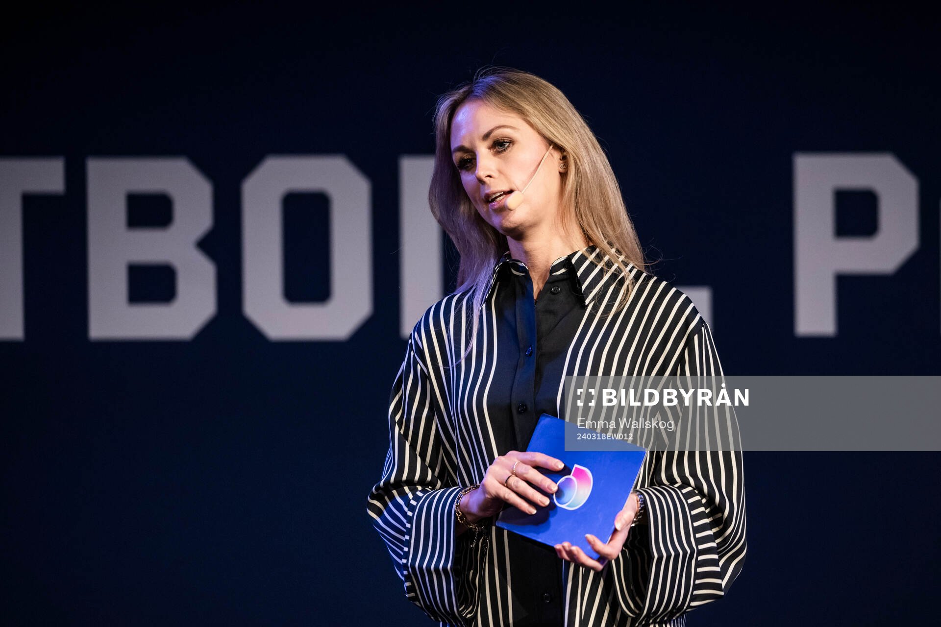 Karin Frick, Discovery