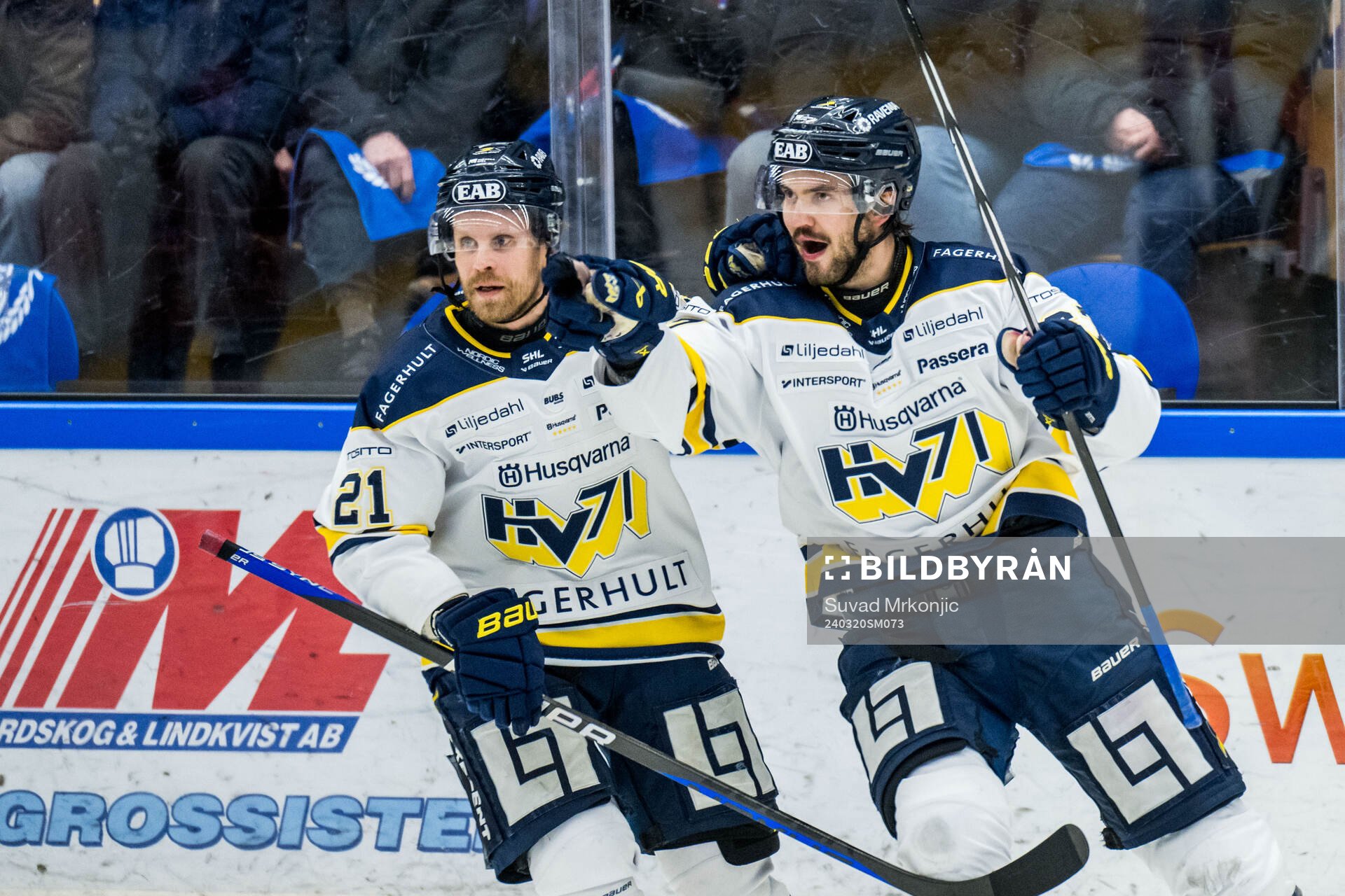 HV71s Oliwer Kaski jublar