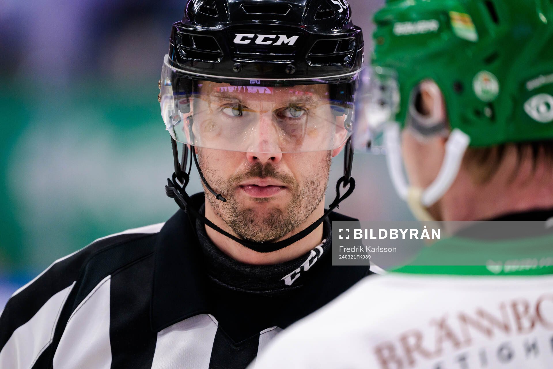 Domare Johan Magnusson