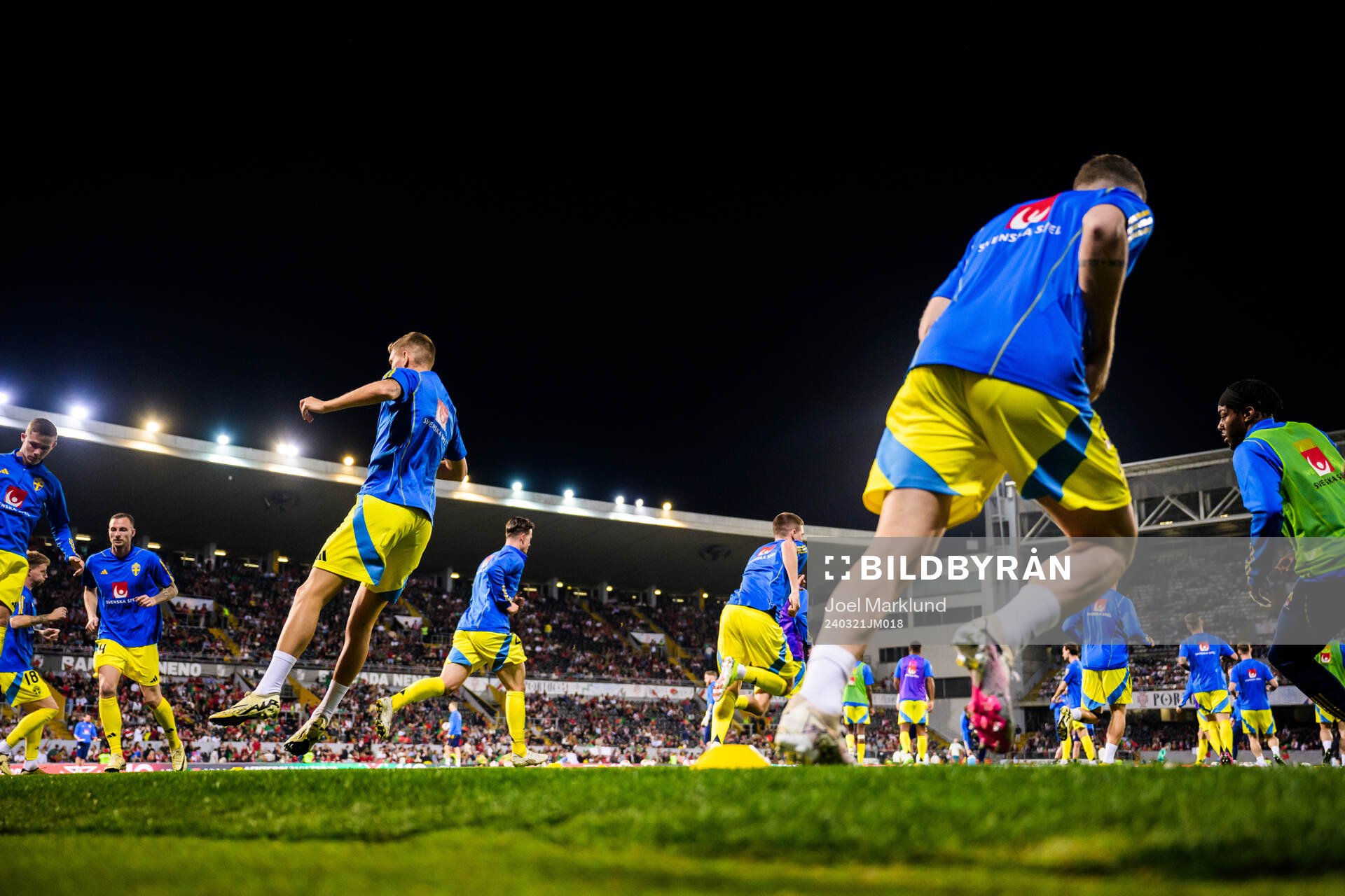 Players of Sweden