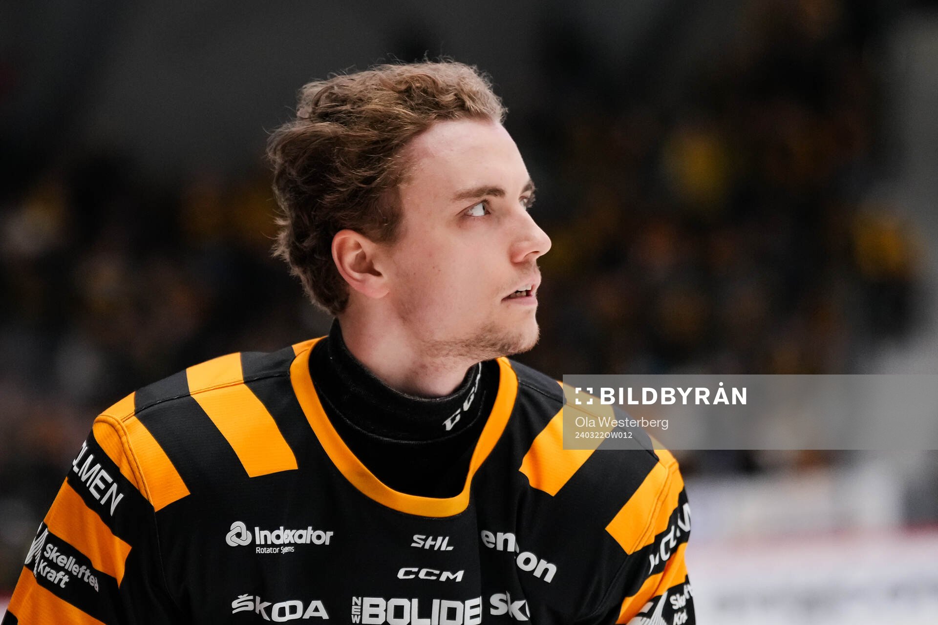 Skellefteås Elias Stenman