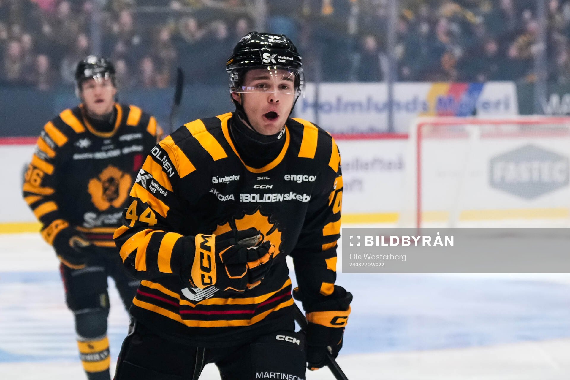 Skellefteås Elias Salomonsson jublar