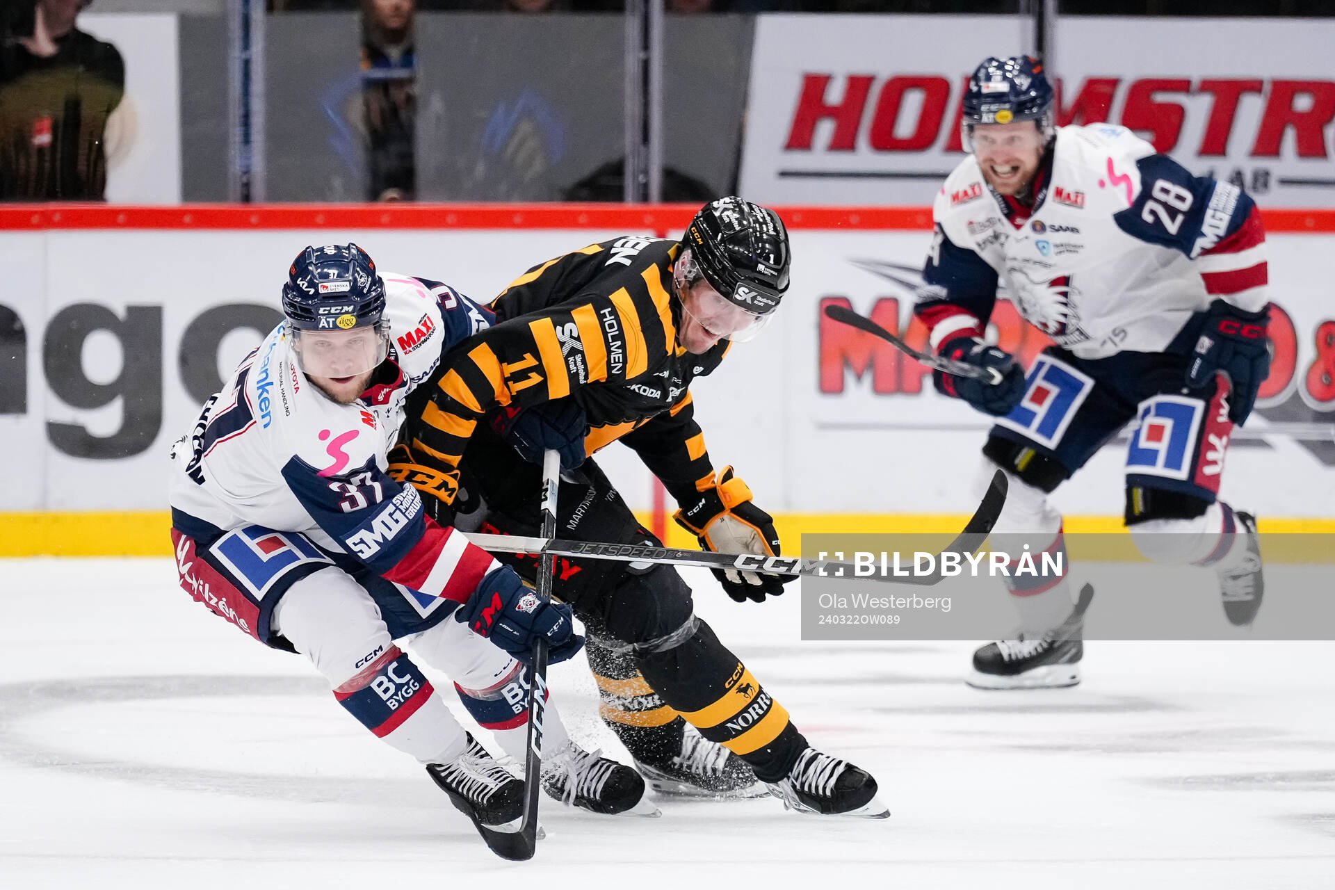 Linköpings Jesper Pettersson och Skellefteås Max Lindholm