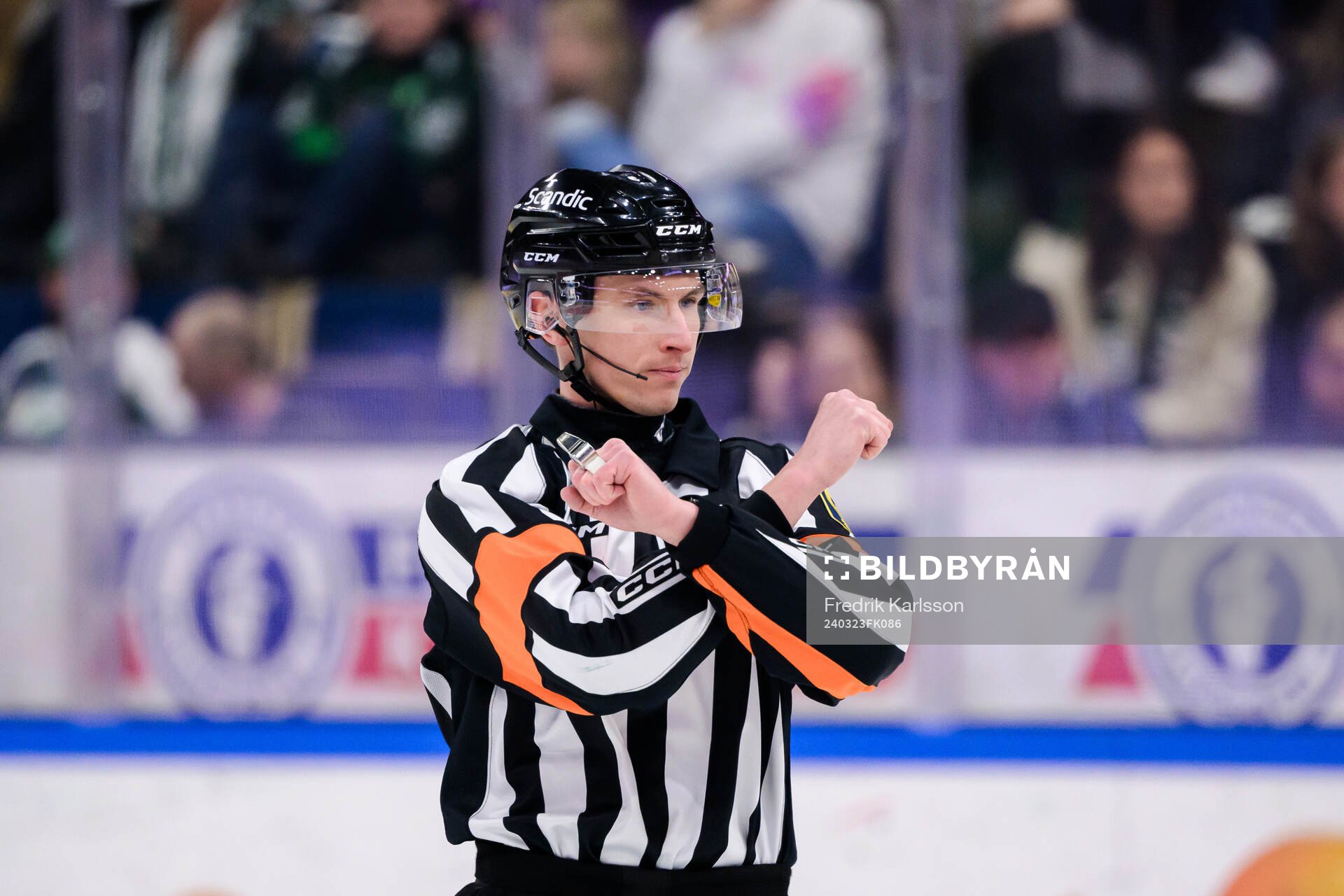 Domare Christoffer Holm