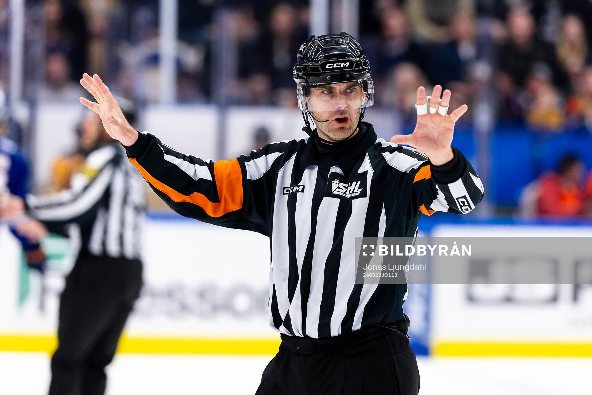 Domare Richard Magnusson