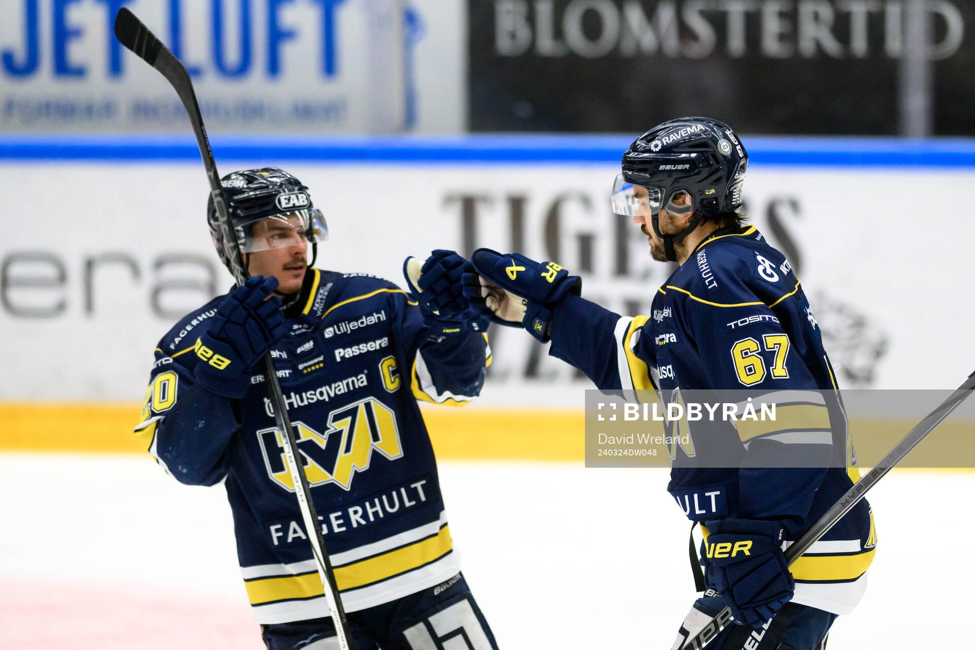 HV71s Oliwer Kaski jublar