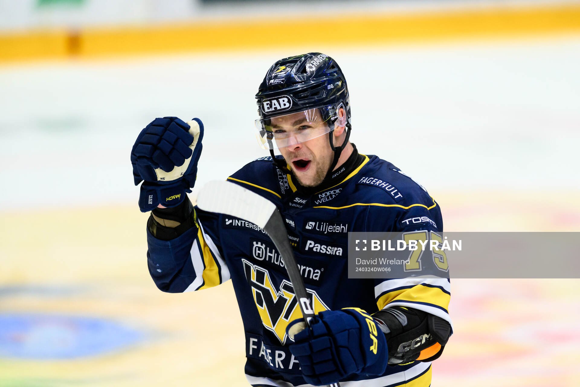 HV71s Radan Lenc jublar