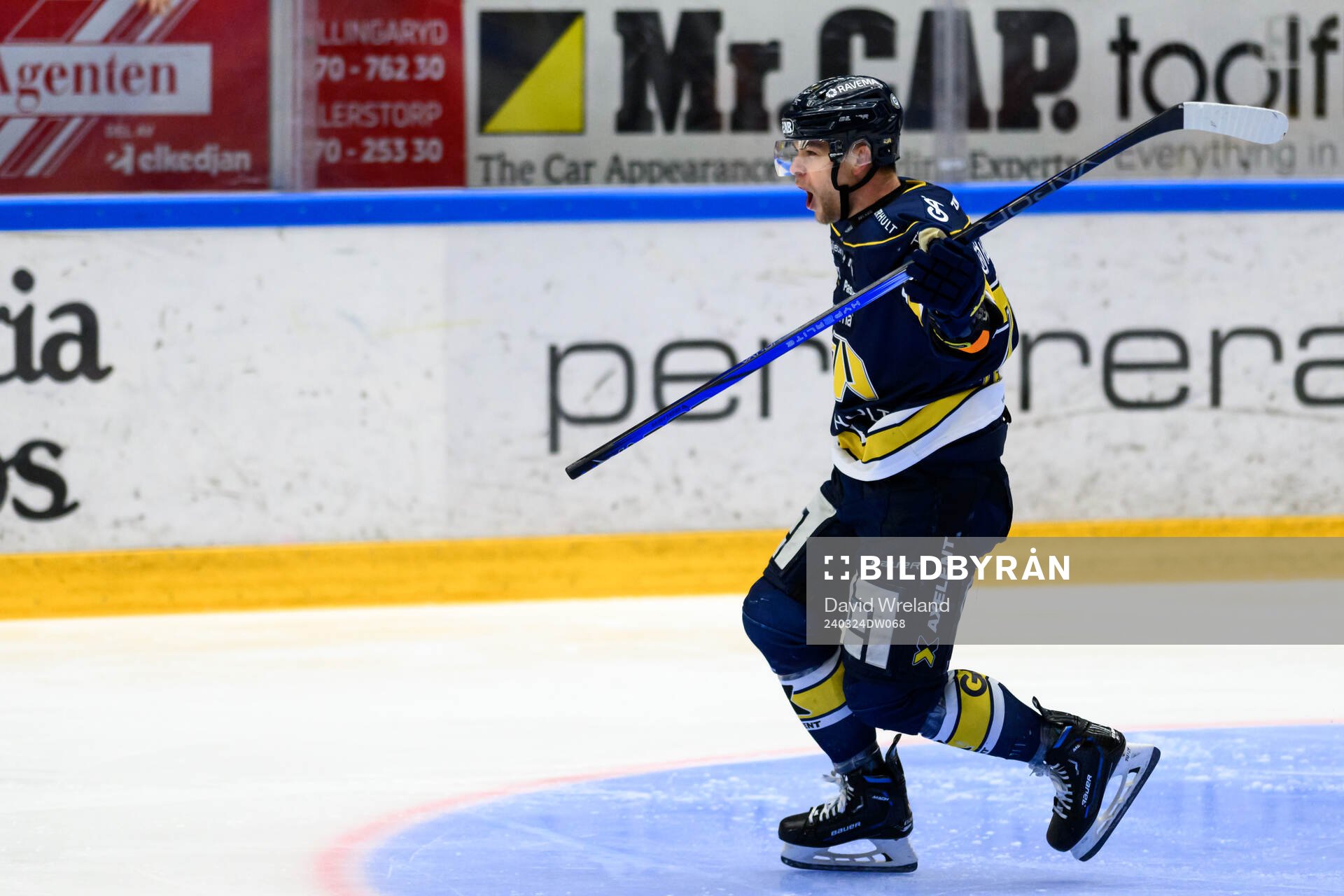 HV71s Radan Lenc jublar