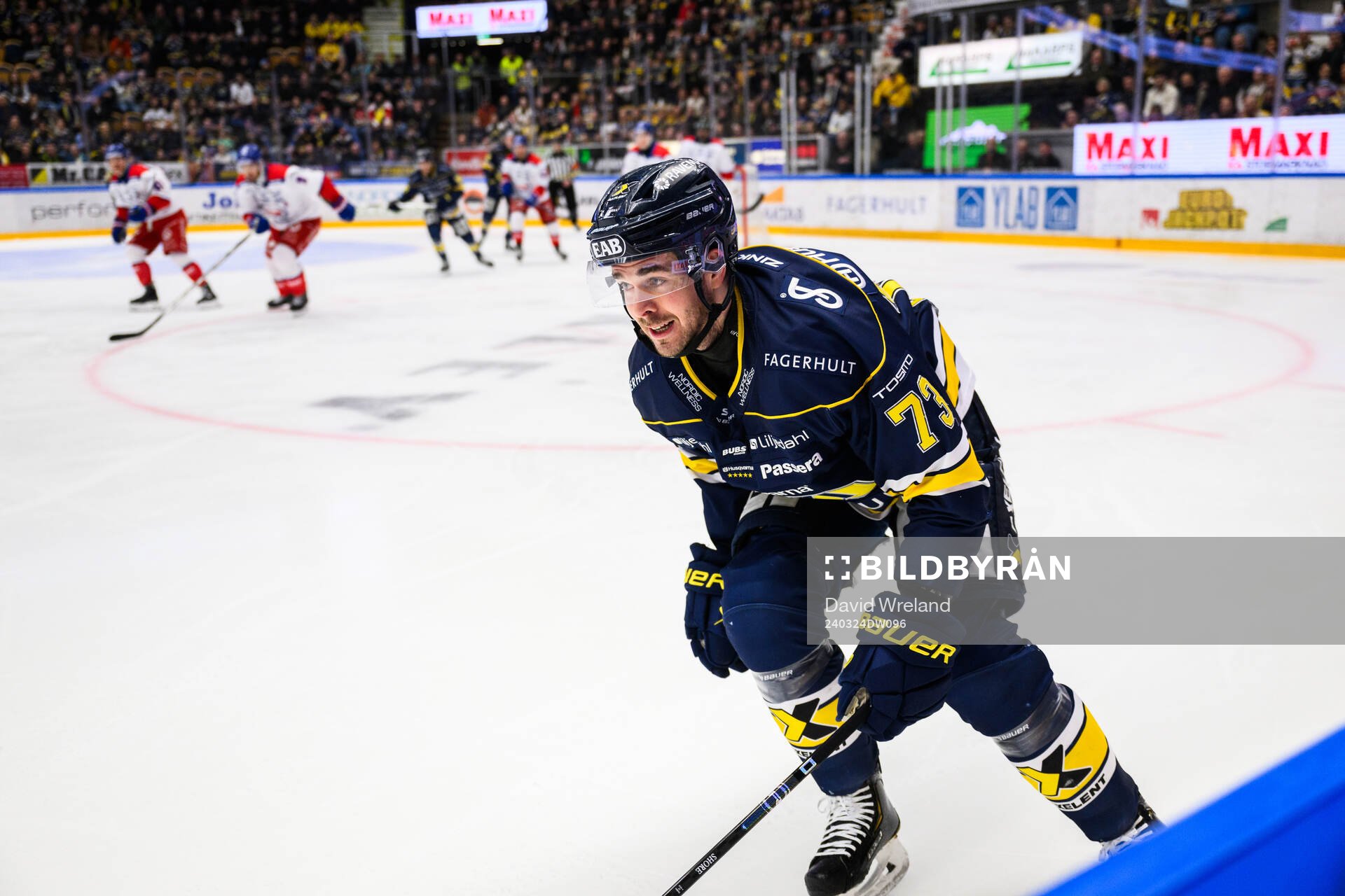 HV71s Nick Shore