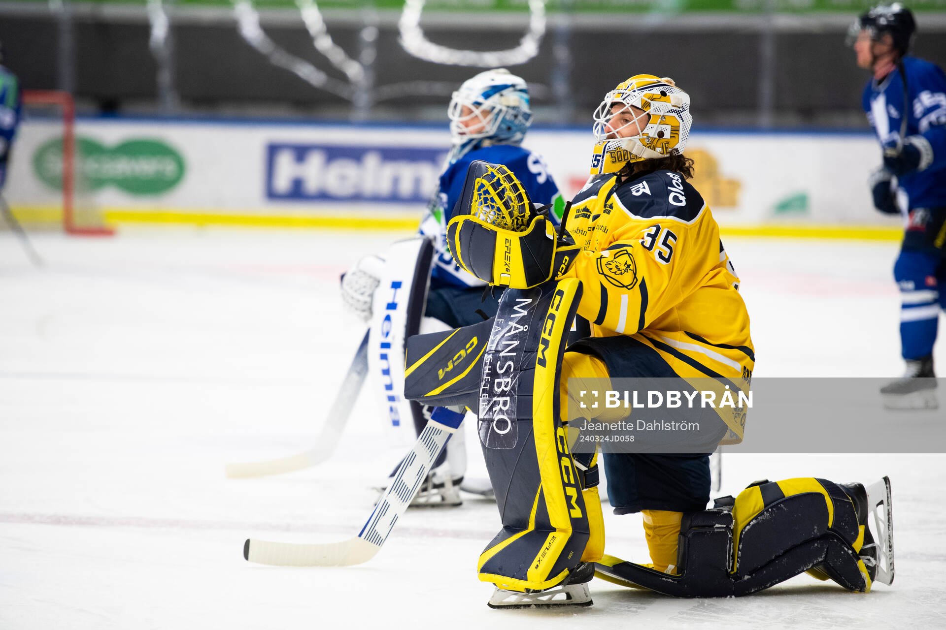 Södertäljes målvakt Tomas Sholl