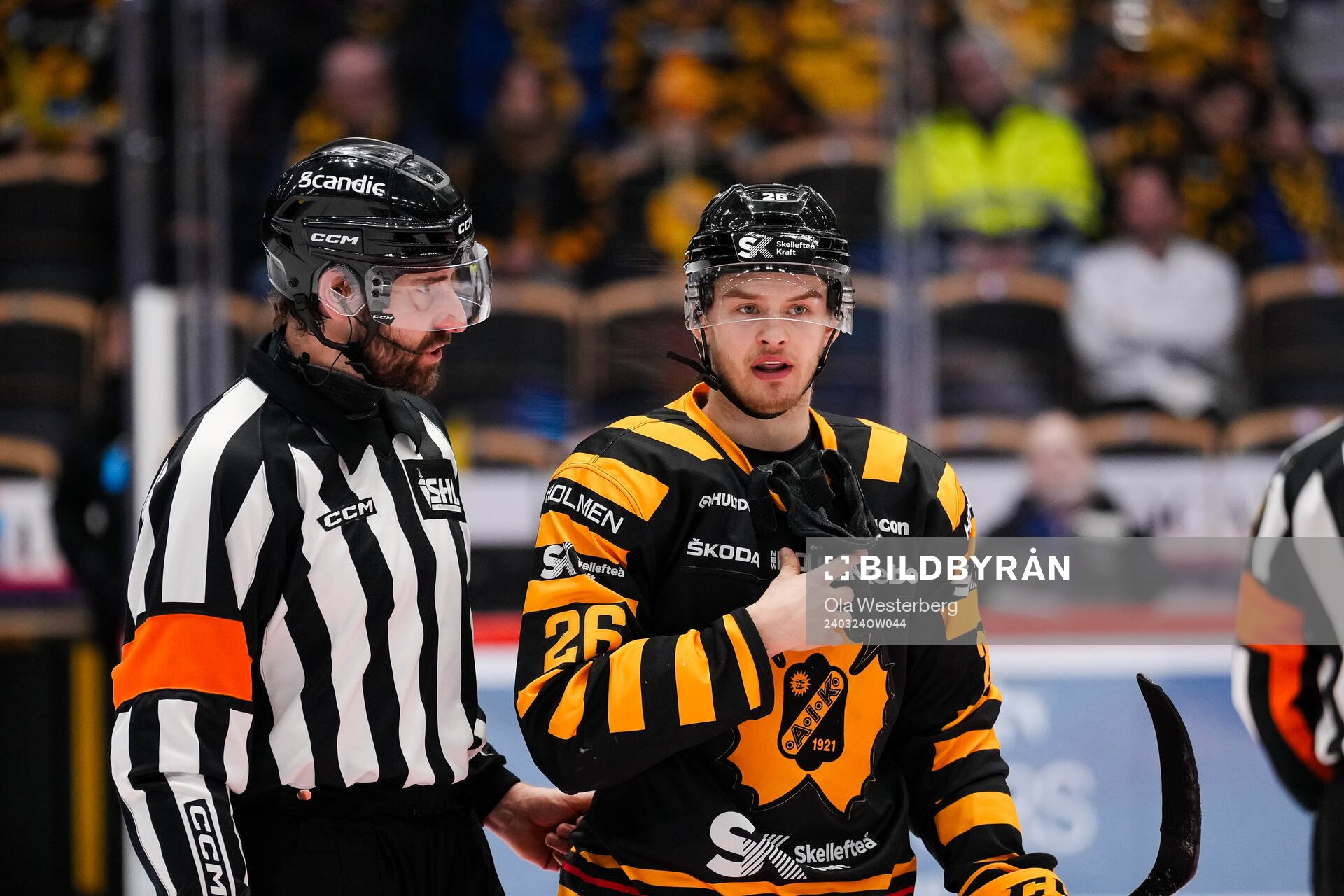 Domare Mikael Sjöqvist och Skellefteås Simon Robertsson