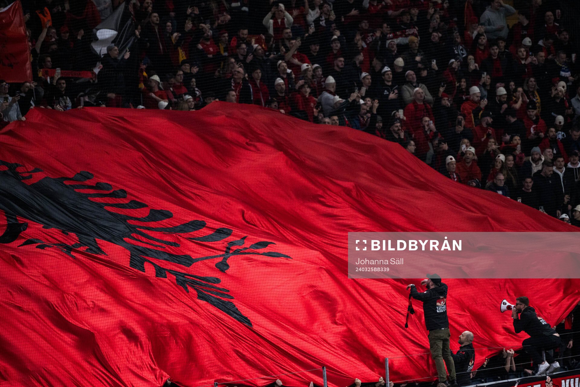 Fans of Albania