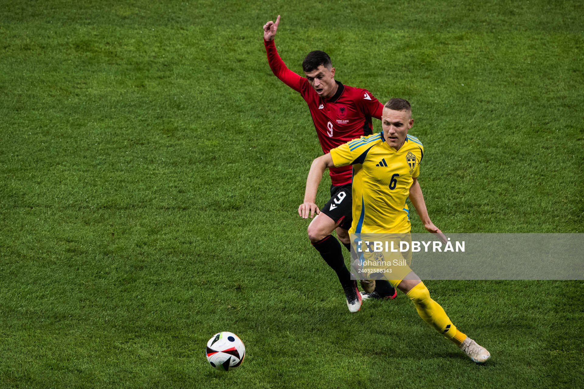 Jasir Asani of Albania and Ludwig Augustinsson of Sweden