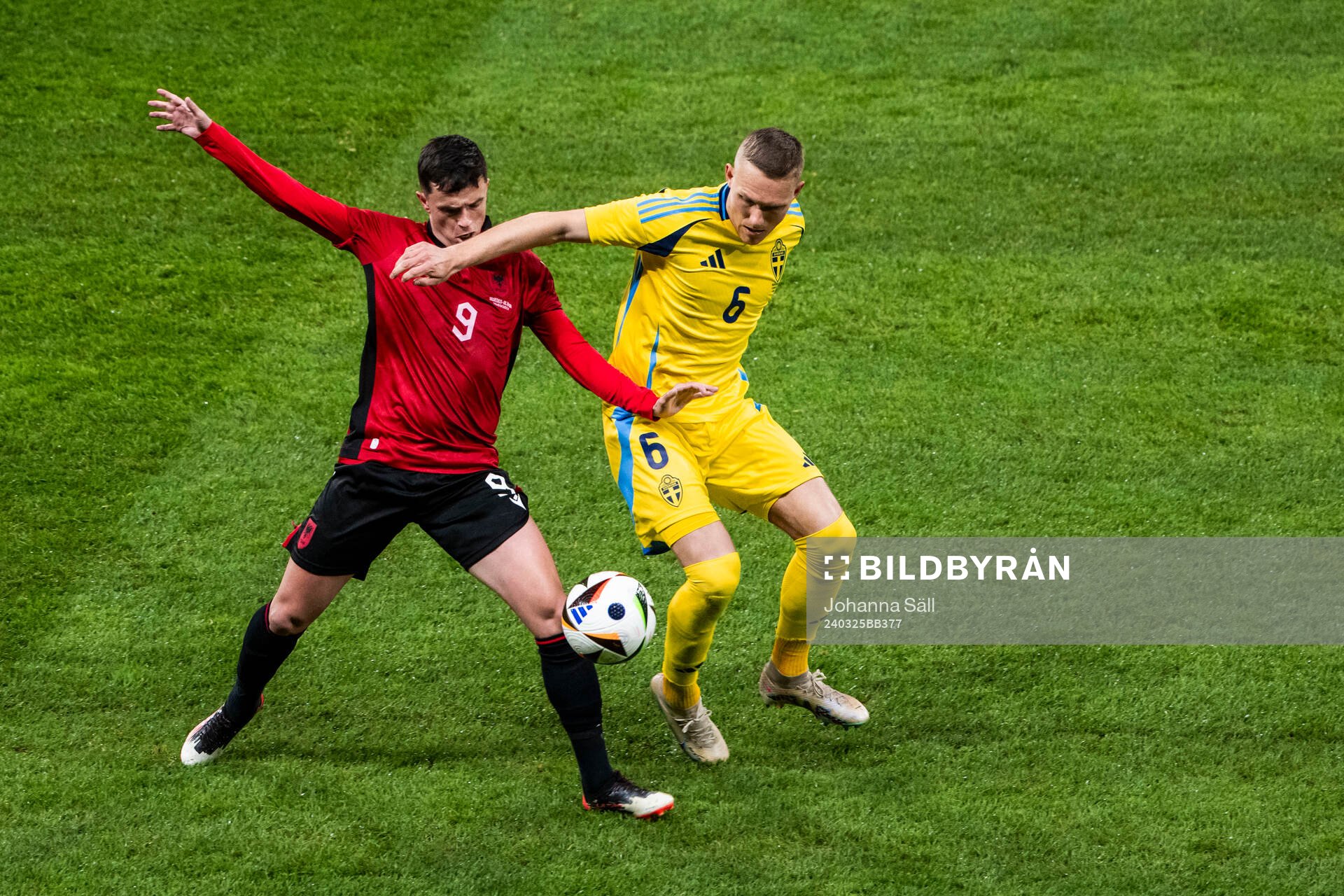 Jasir Asani of Albania and Ludwig Augustinsson of Sweden