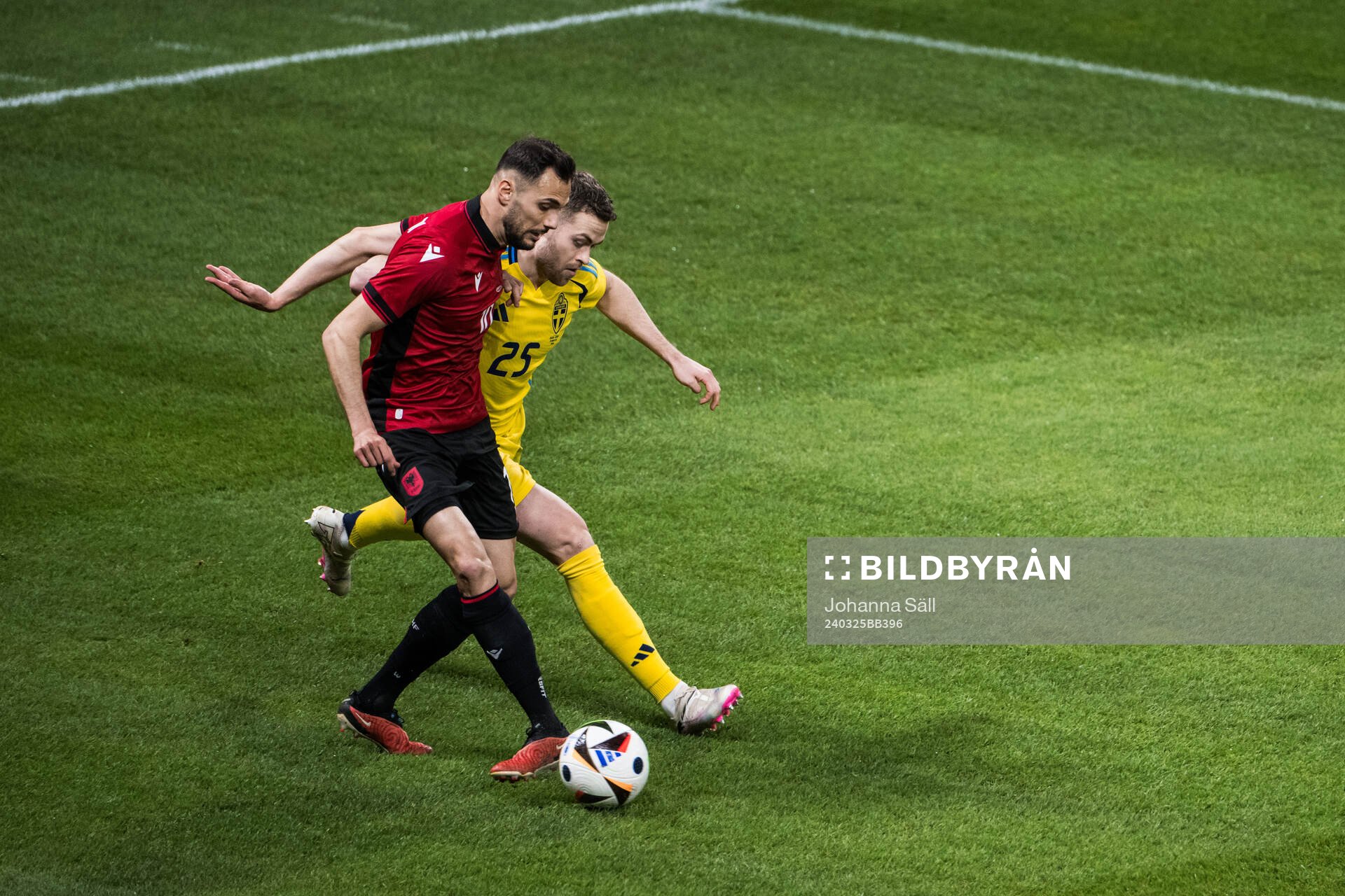 Gabriel Gudmundsson of Sweden and Nedim Bajrami of Albania