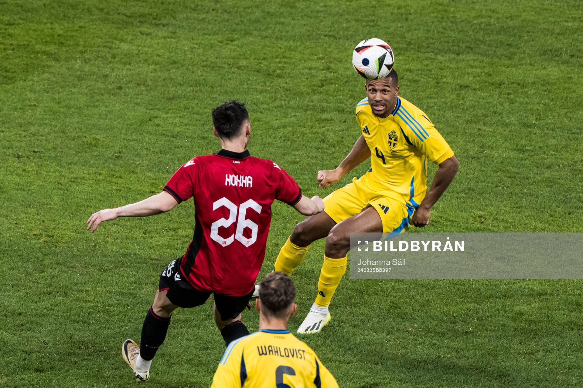 Arber Hoxha of Albania and Isak Hien of Sweden