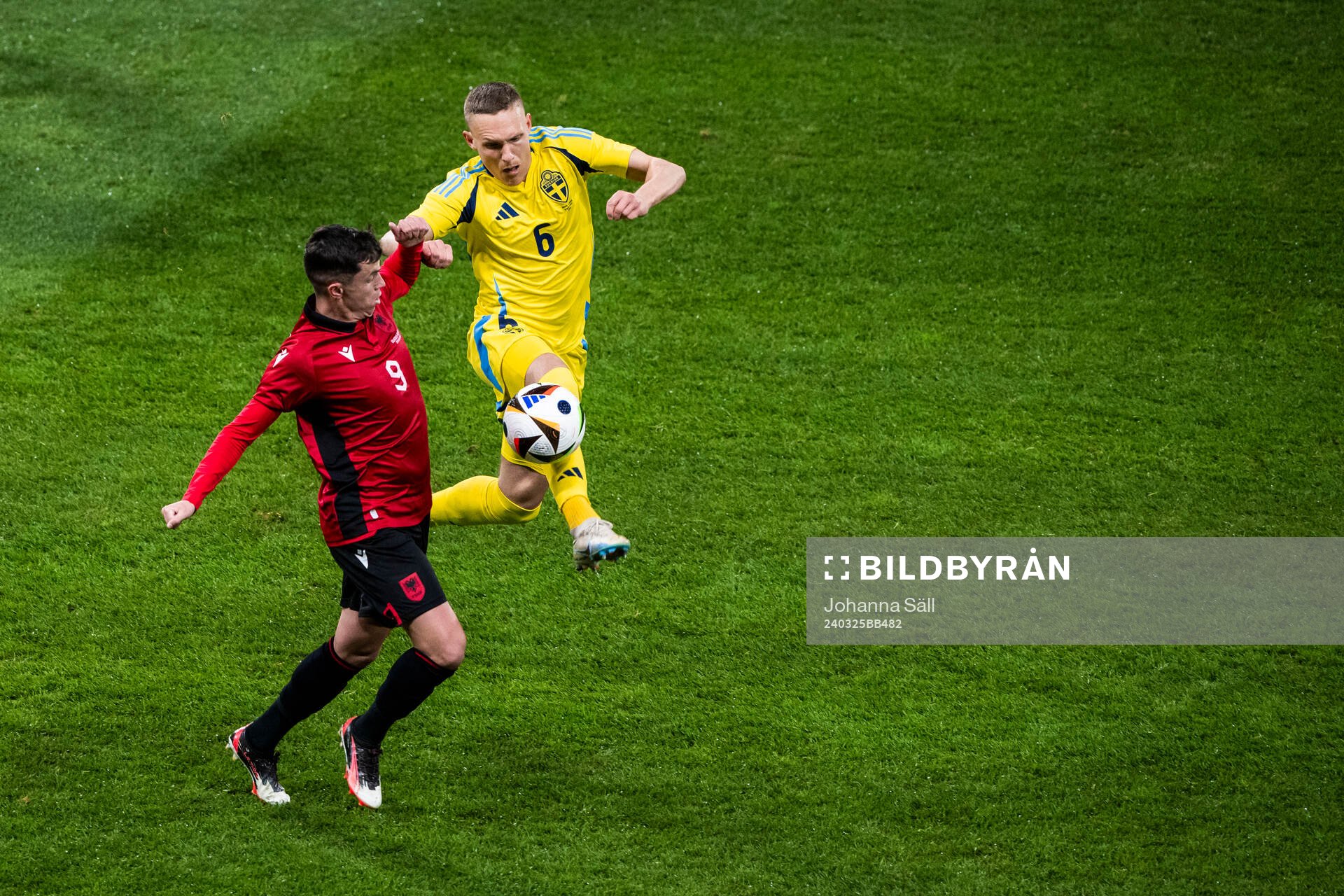 Jasir Asani of Albania and Ludwig Augustinsson of Sweden