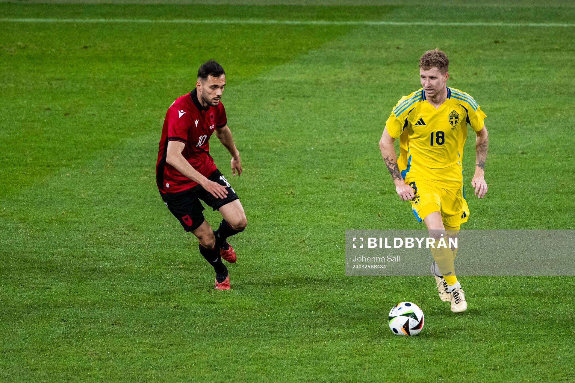 Nedim Bajrami of Albania and Samuel Gustafson of Sweden