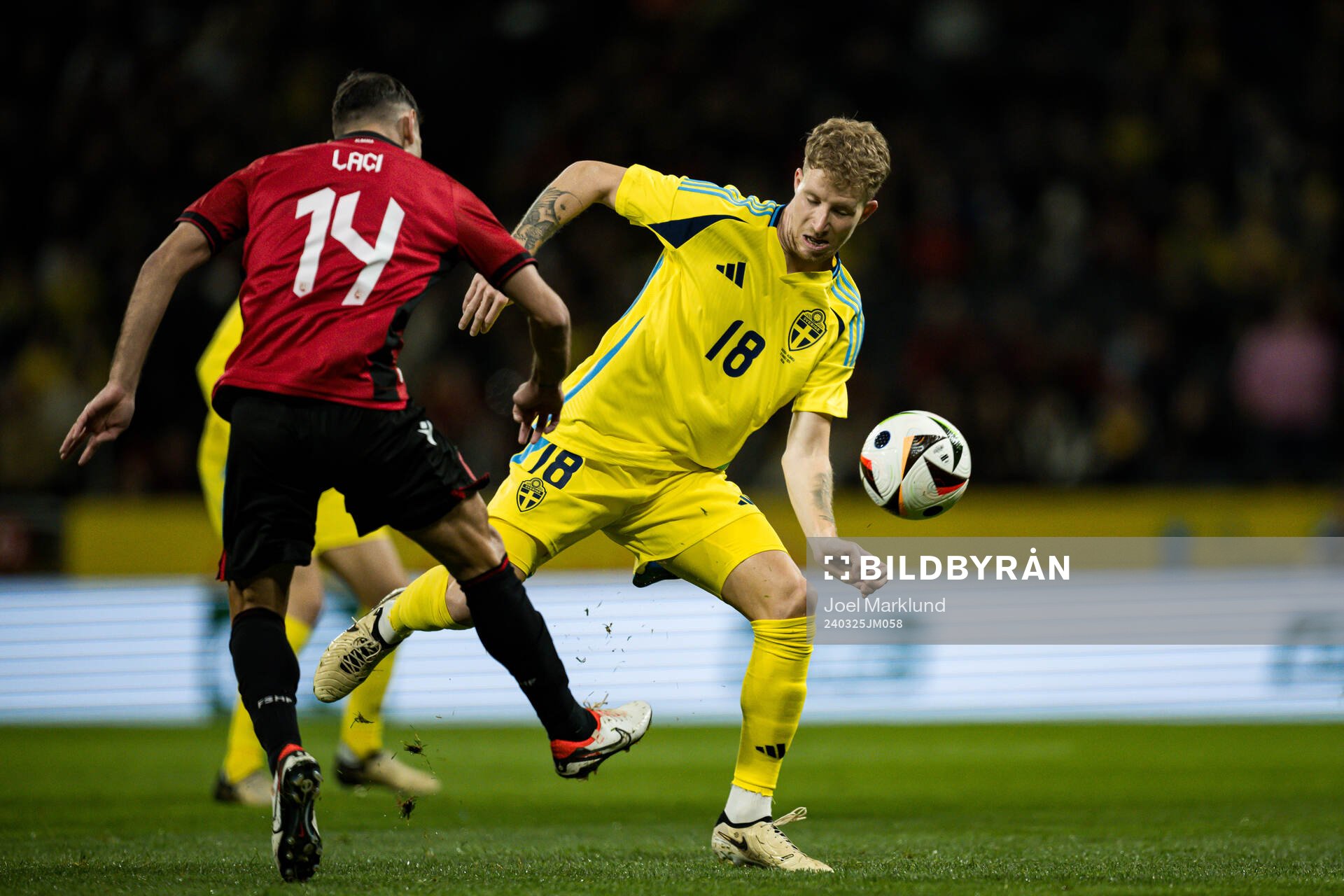 Qazim Laci of Albania and Samuel Gustafson of Sweden