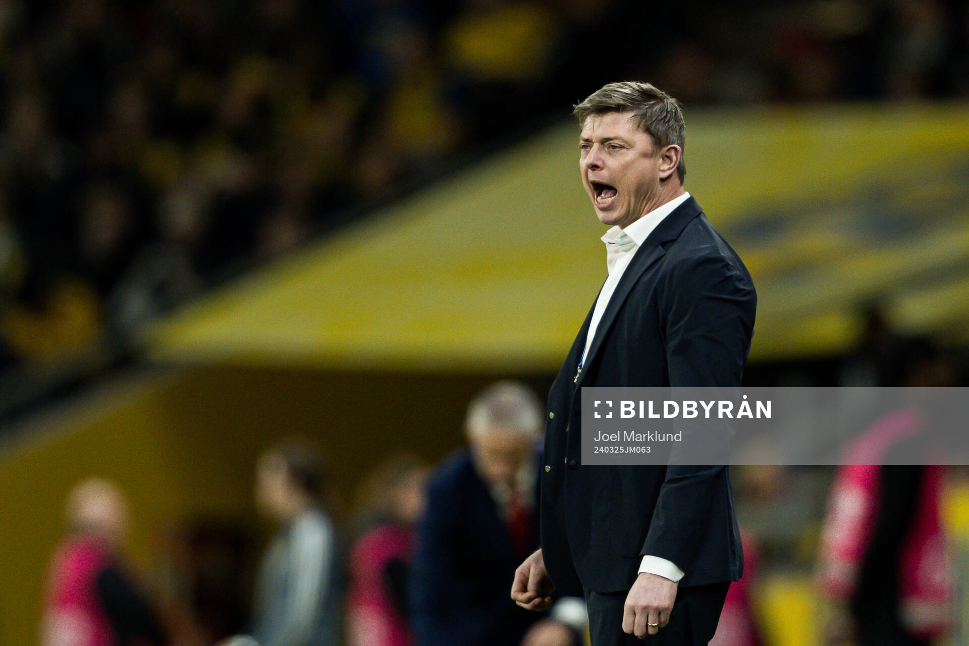 Head coach Jon Dahl Tomasson of Sweden