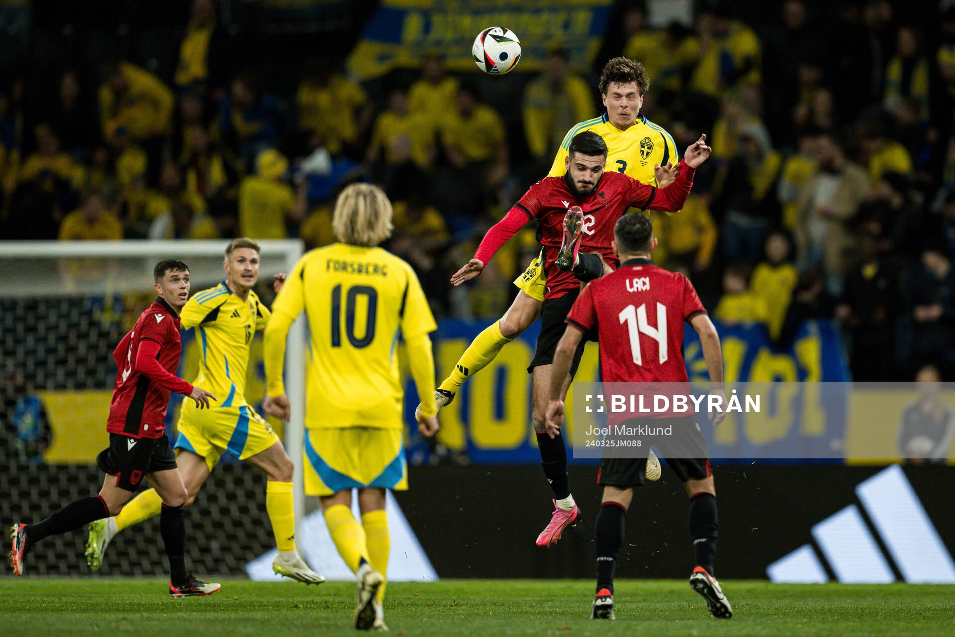 Armando Broja of Albania and Victor Nilsson Lindelöf of