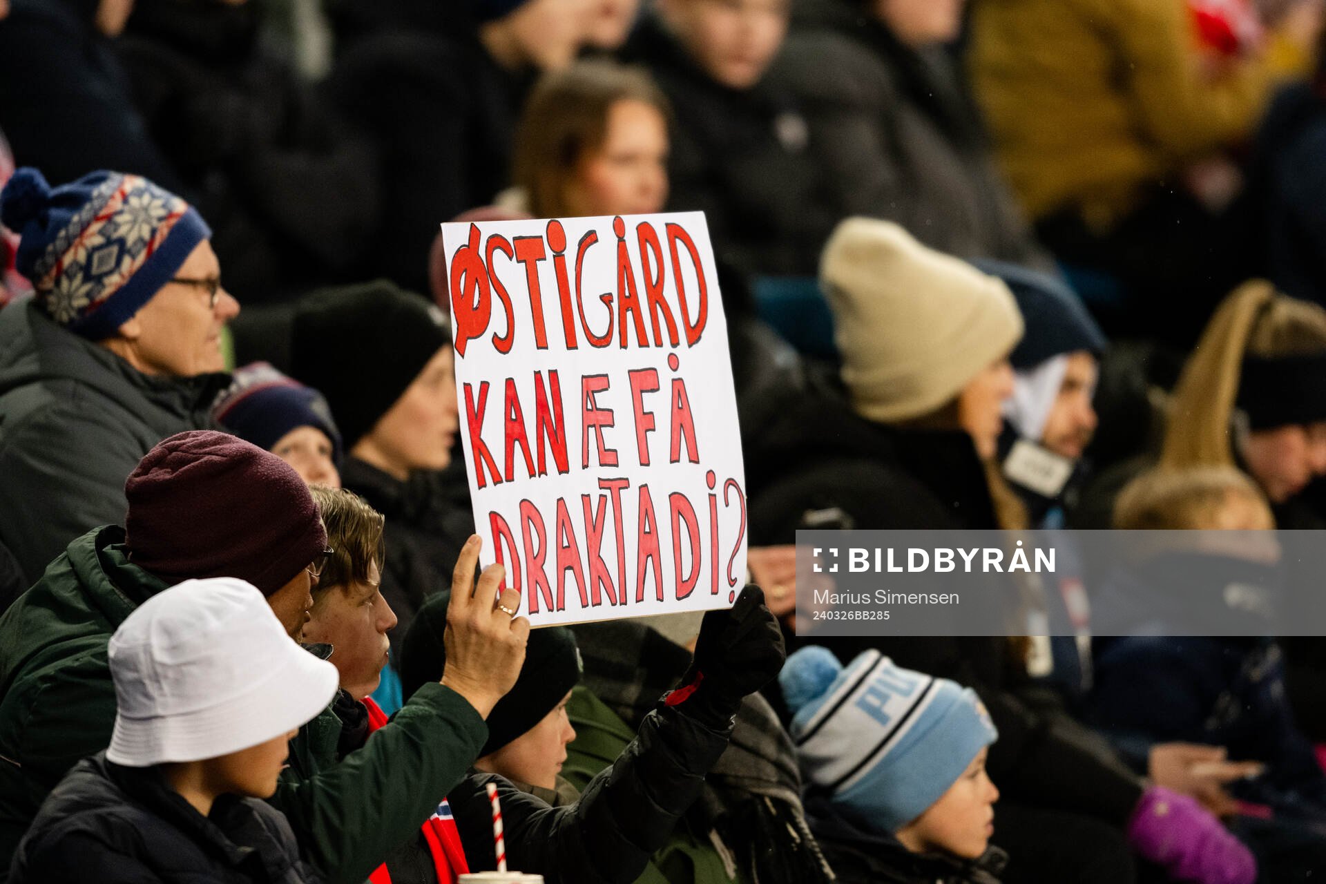 Fans in the stands