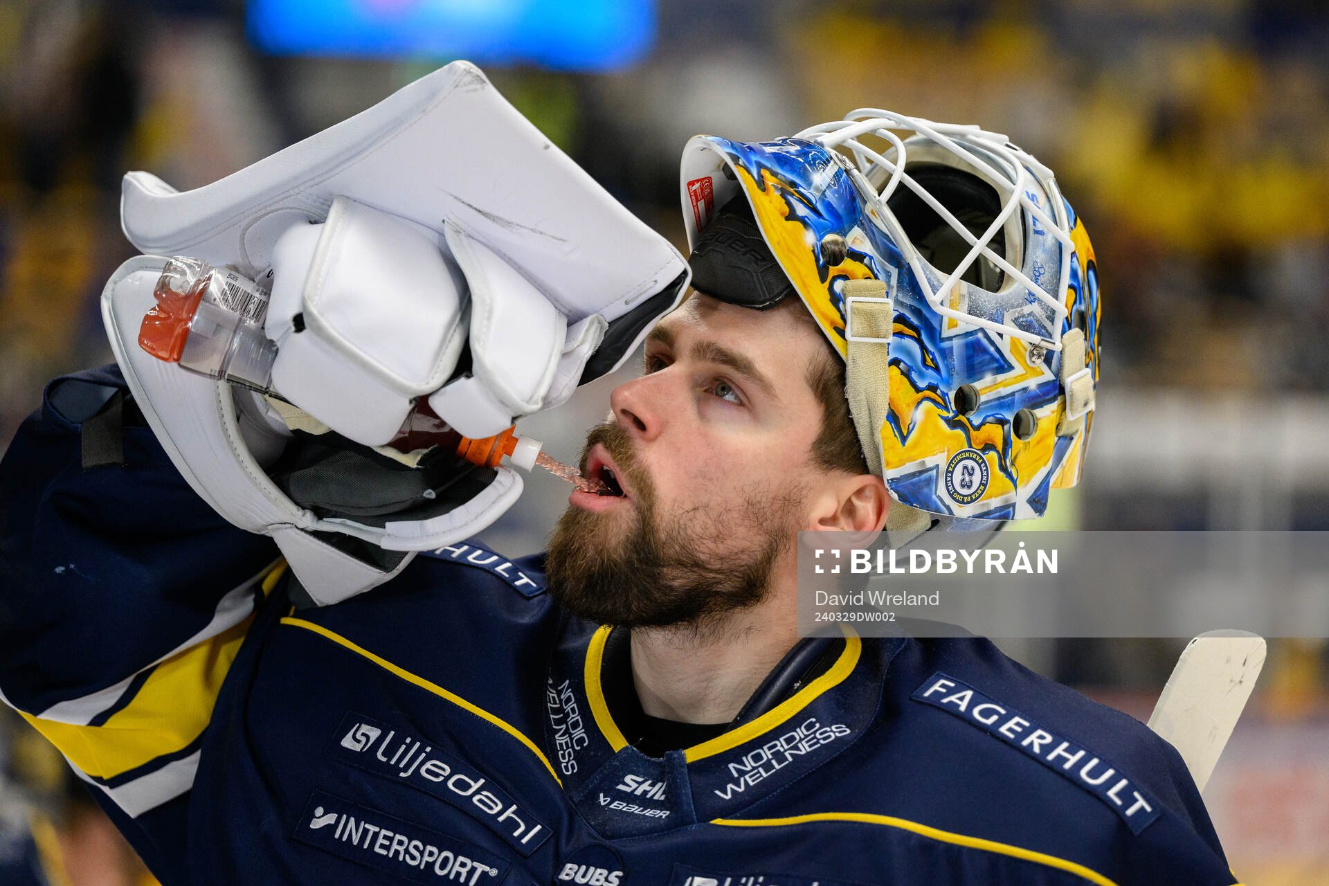HV71s målvakt Joni Ortio