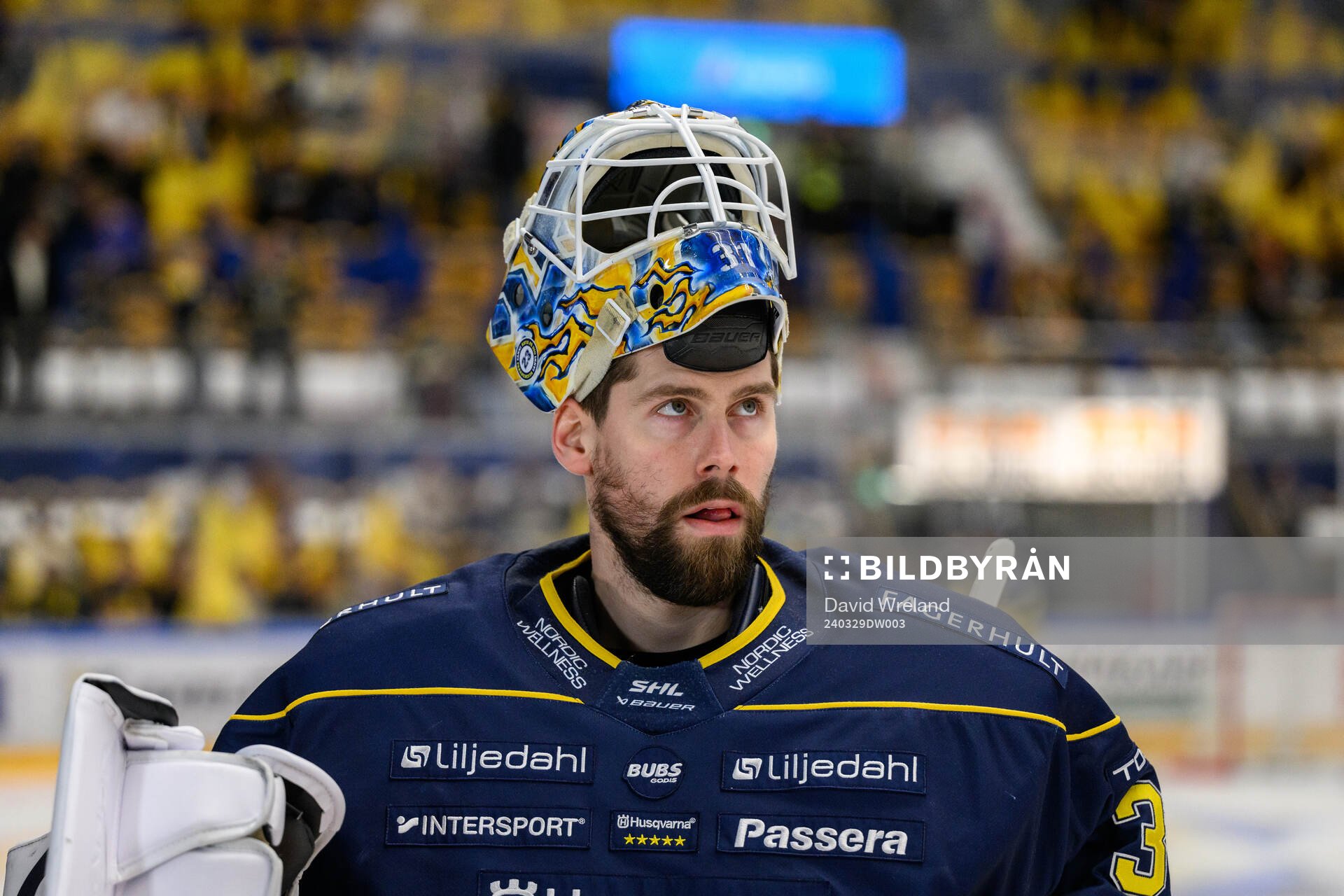 HV71s målvakt Joni Ortio