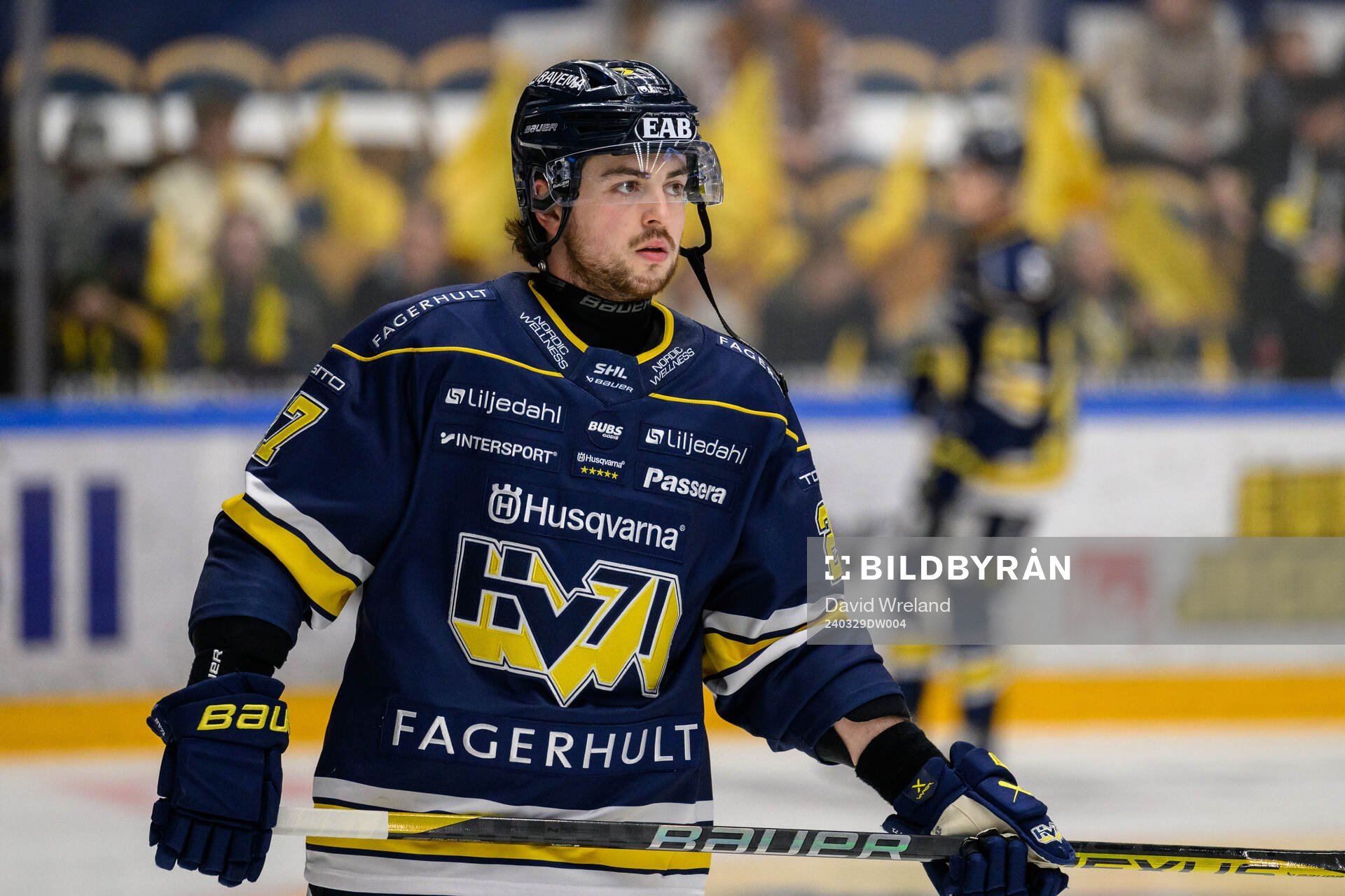 HV71s Robert Nardella