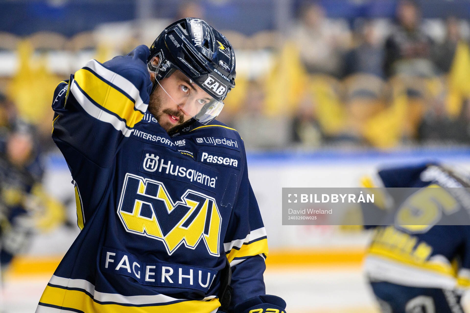 HV71s Oliwer Kaski