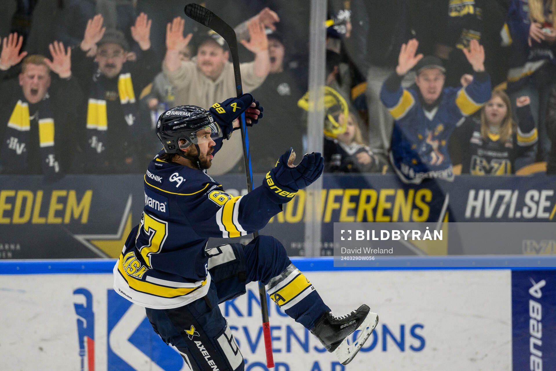 HV71s Oliwer Kaski jublar