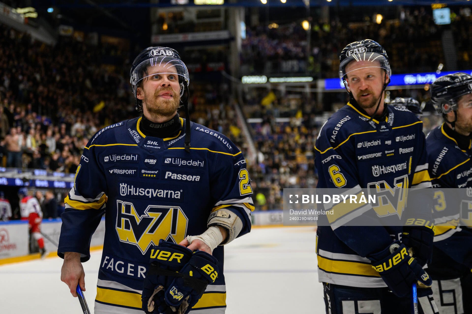 HV71s Mattias Tedenby och Anton Strålman jublar