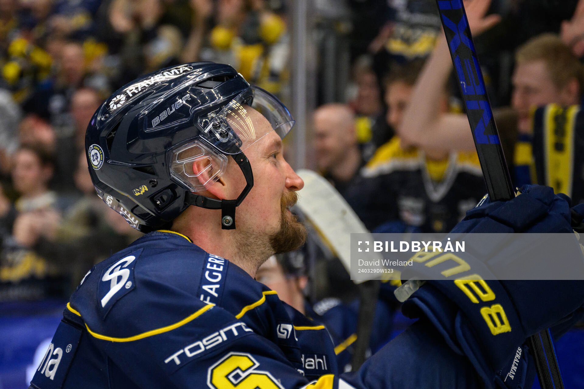 HV71s Anton Strålman jublar