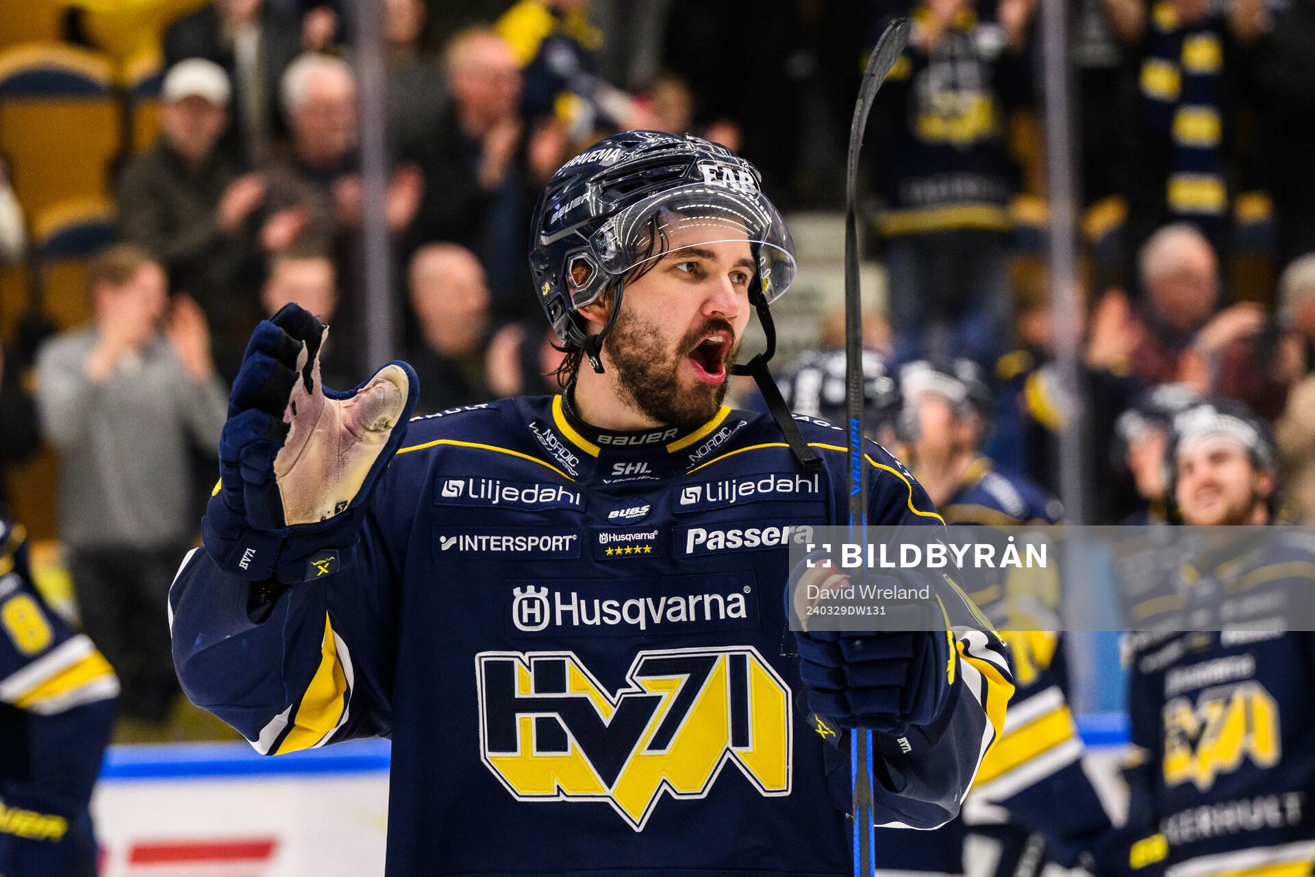 HV71s Oliwer Kaski jublar