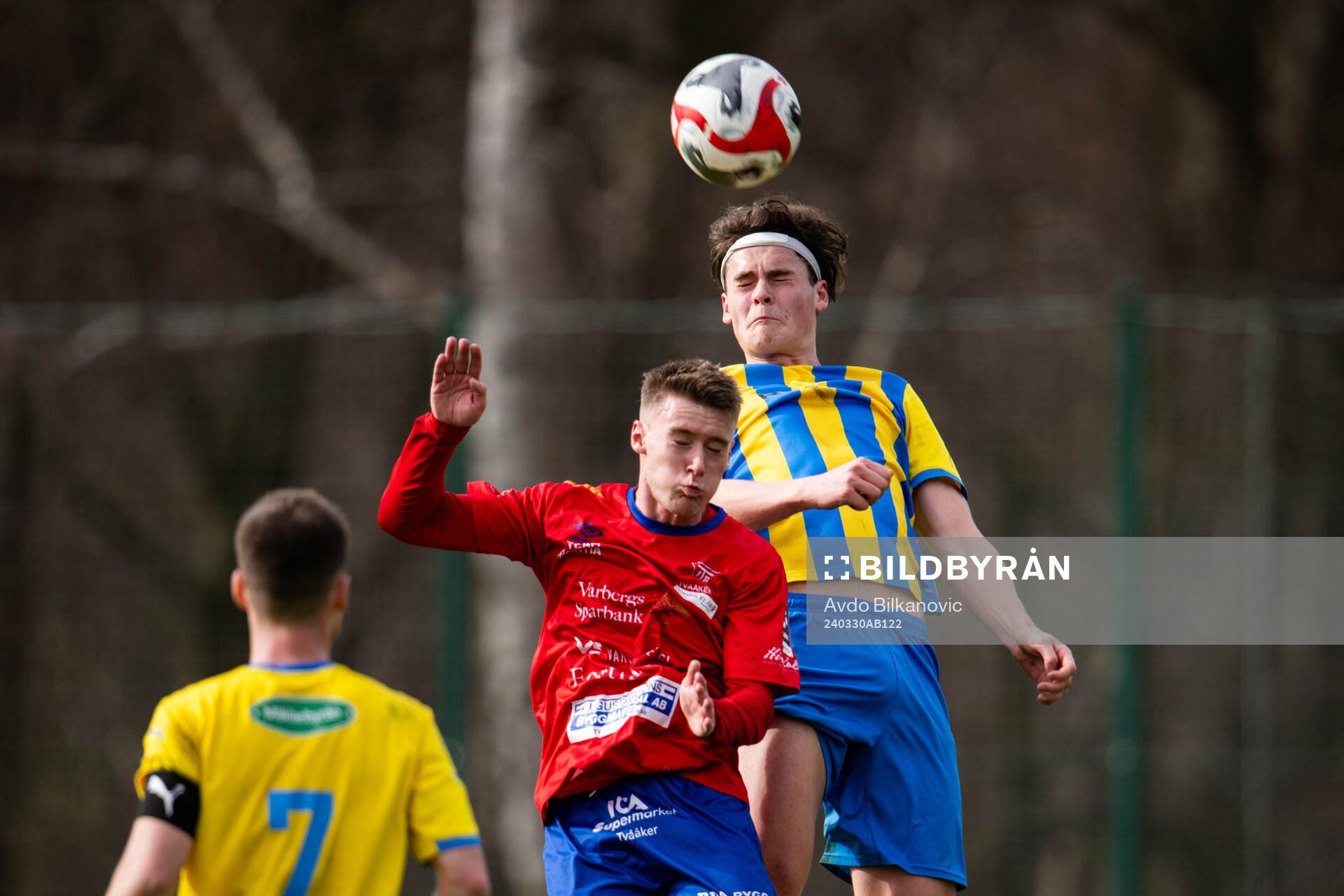 Eskilsminnes Johan Albin nickar