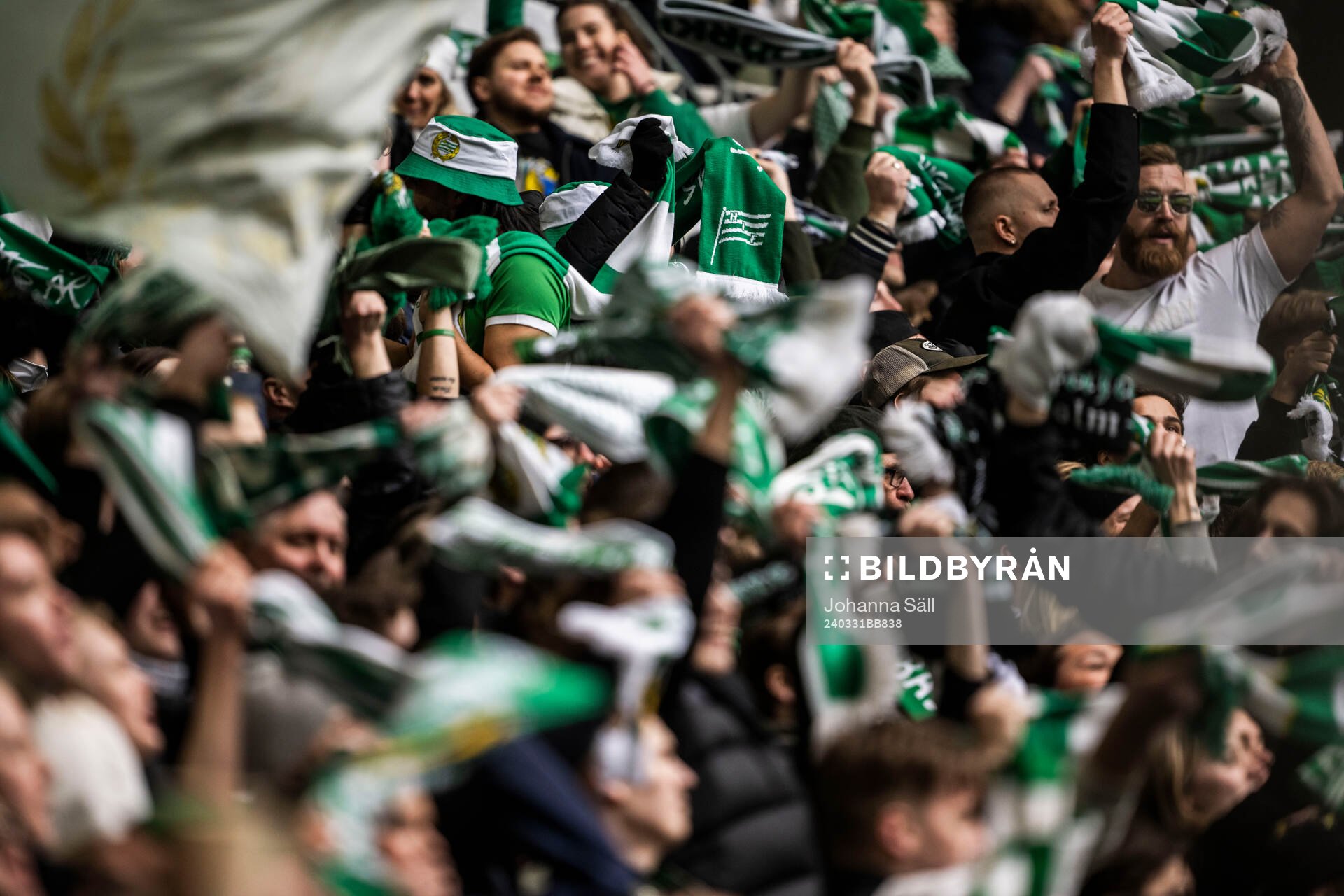 Hammarbys supportrar
