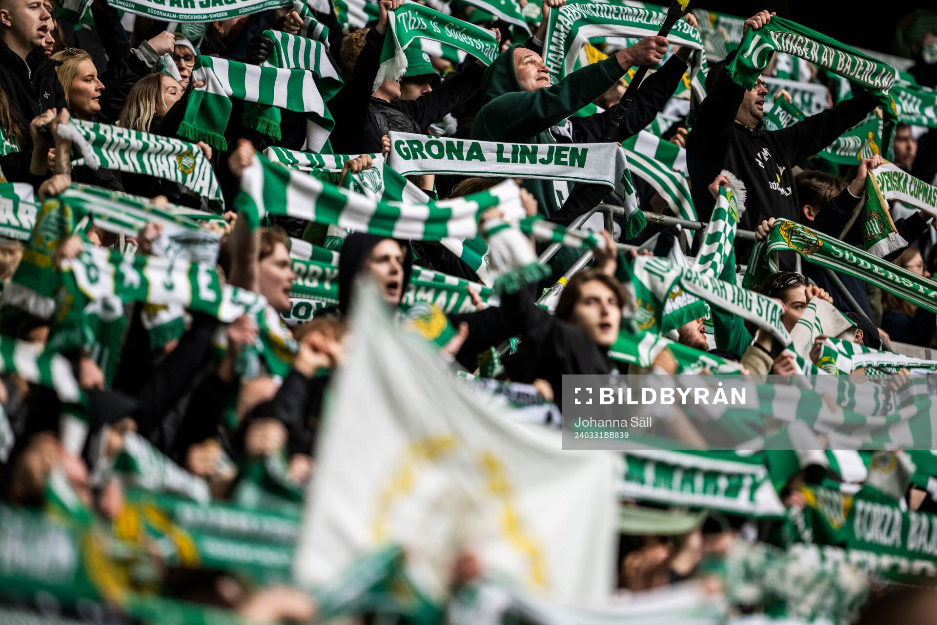 Hammarbys supportrar