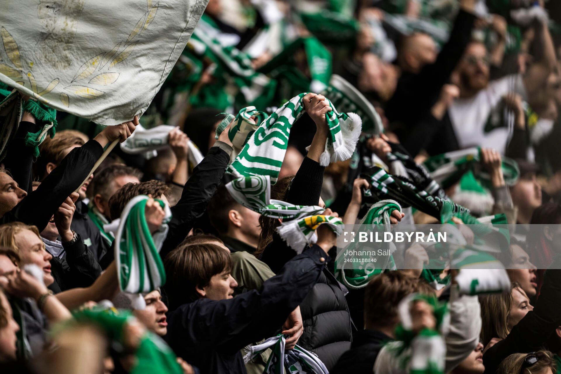 Hammarbys supportrar