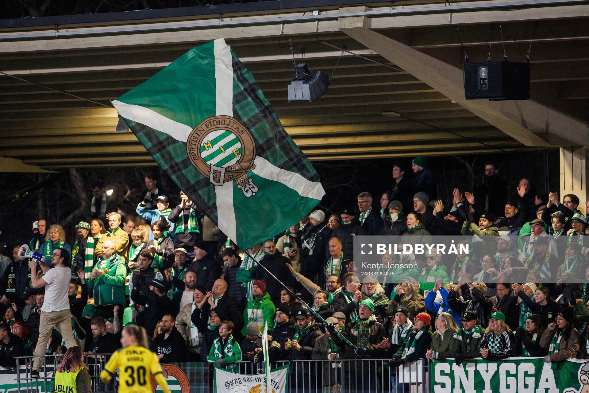 Hammarbys supportrar