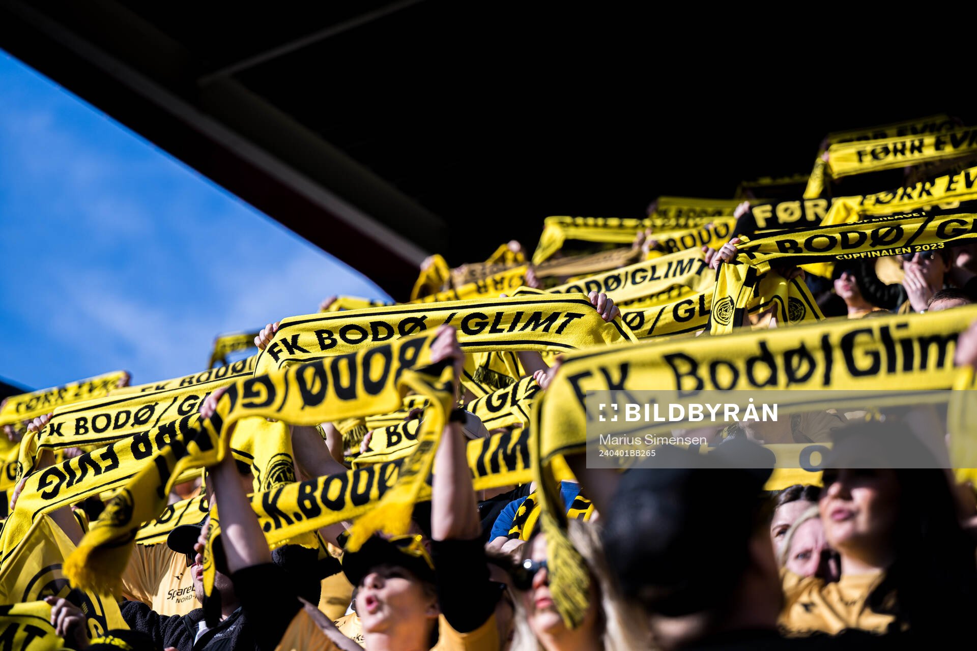 Spectators in the stands