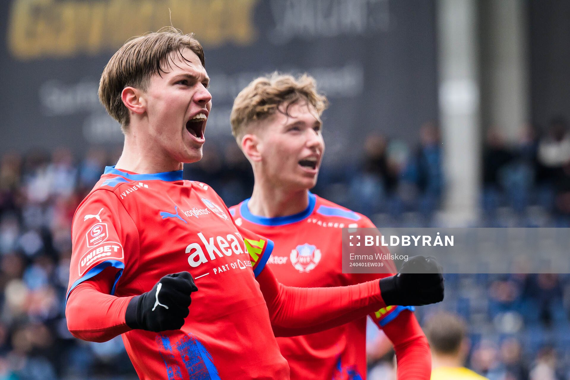 Helsingborgs Taylor Silverholt jublar efter sitt 0-1 mål under fotbollsmatchen i Superettan mellan Gefle och Helsingborg den 1 april 2024 i Gävle.