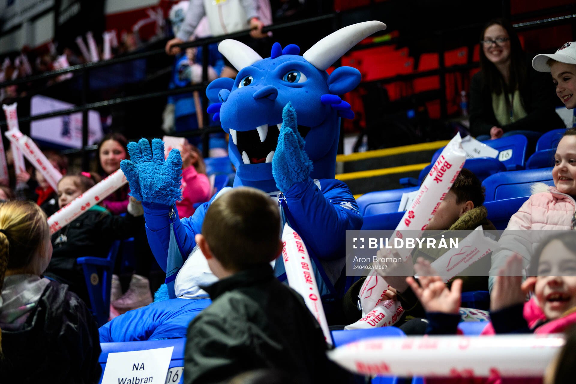 A mascot