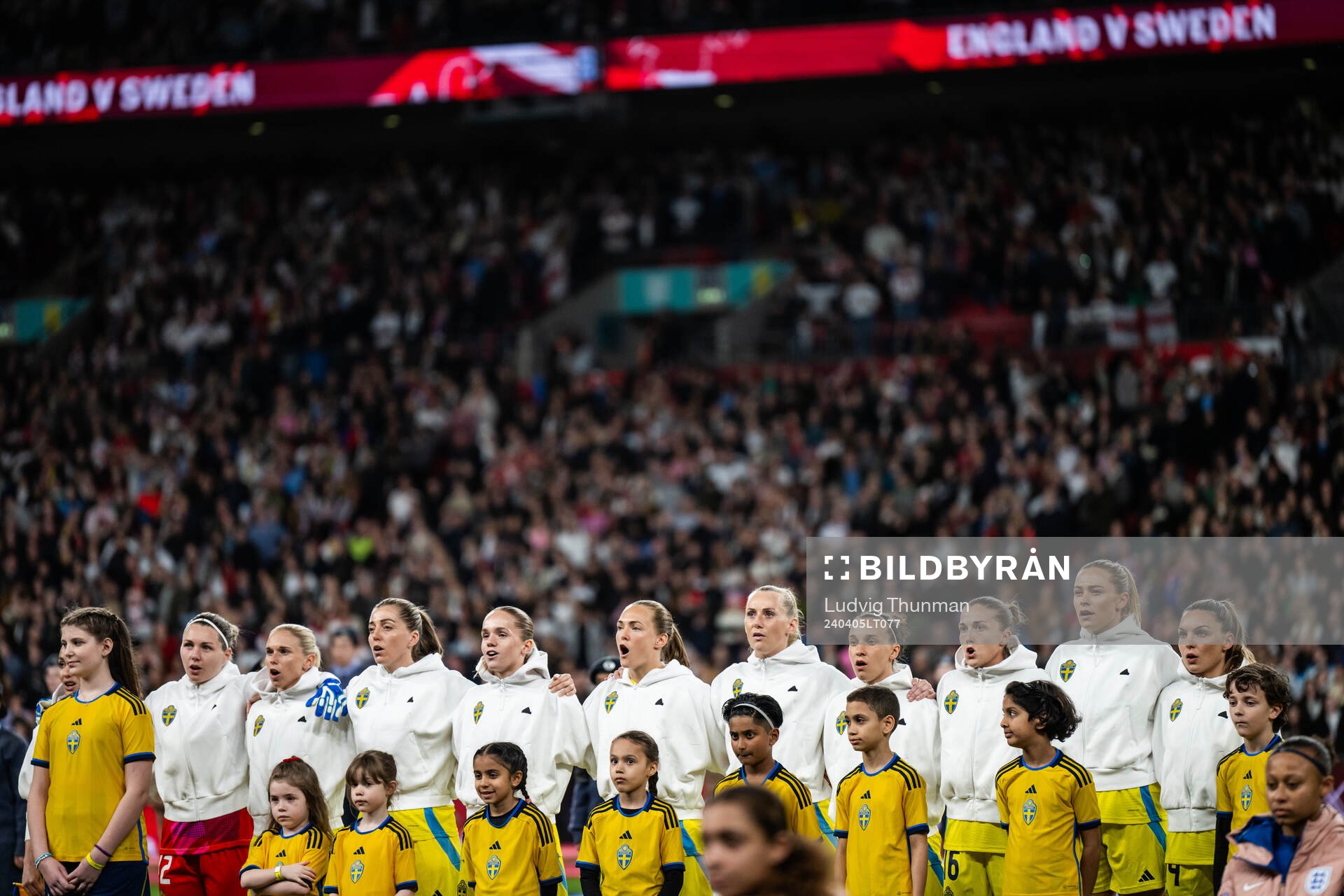 Players of Sweden