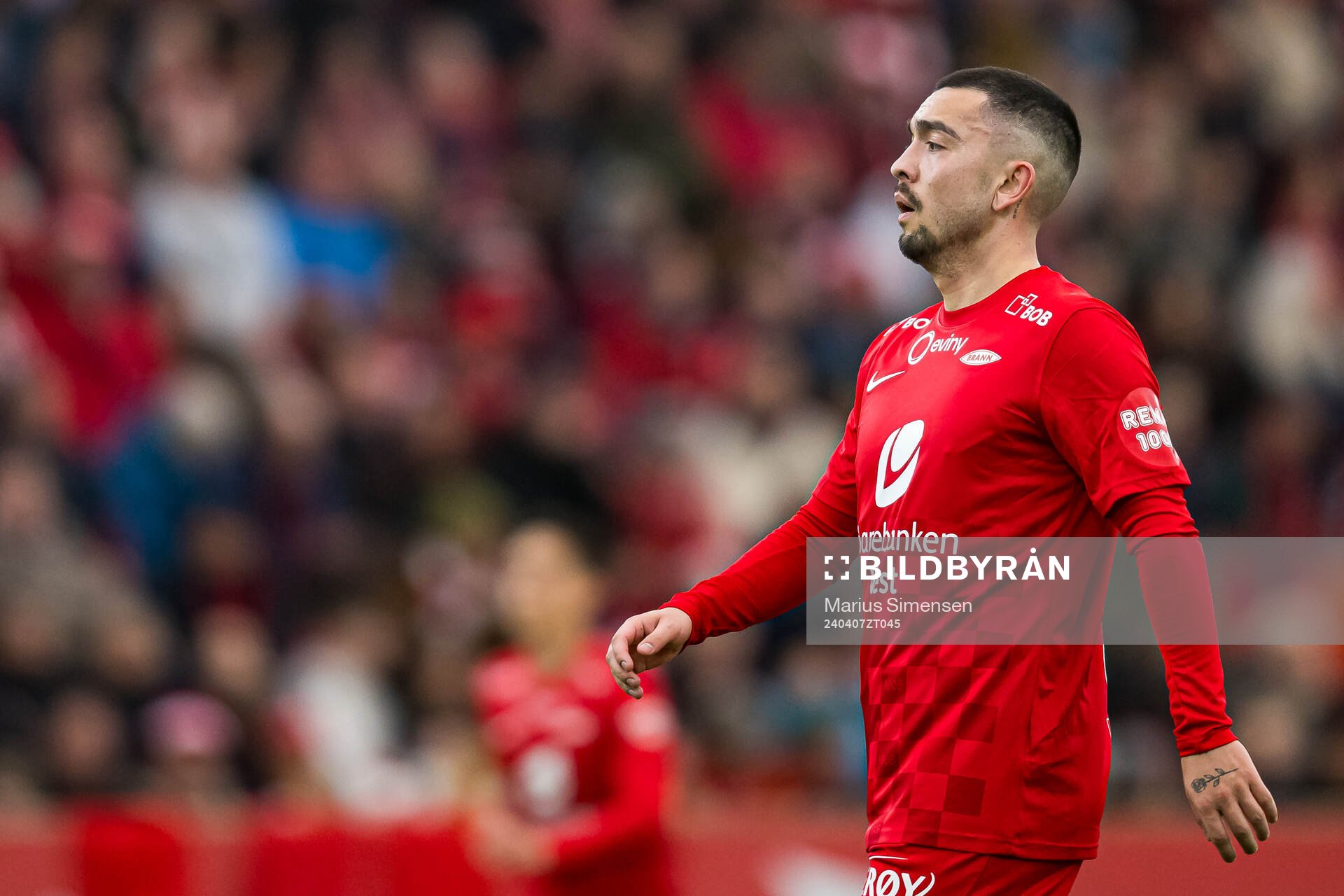 Niklas Castro of Brann